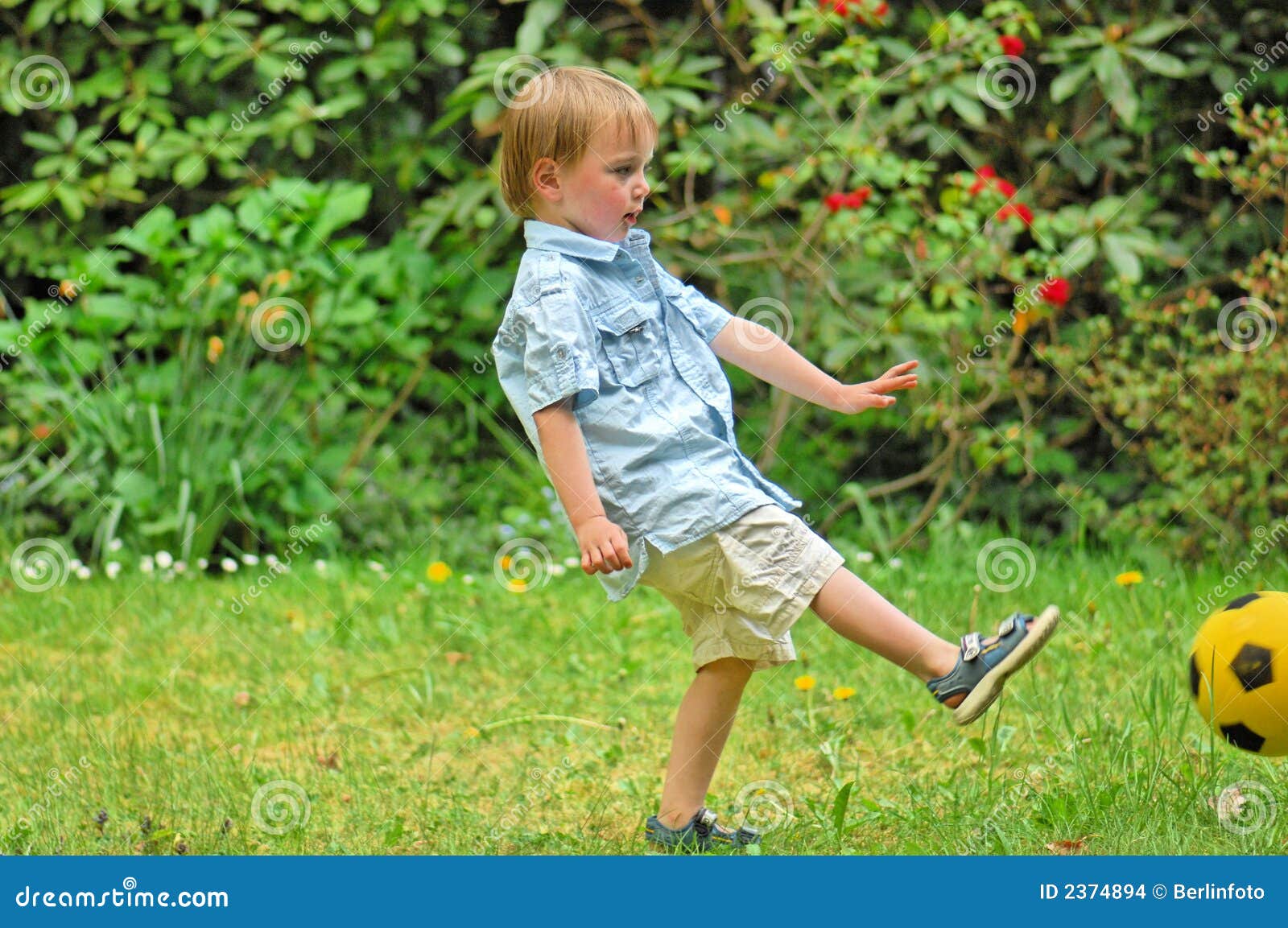 Kick the ball stock photo. Image of outside, grass, exercise 2374894