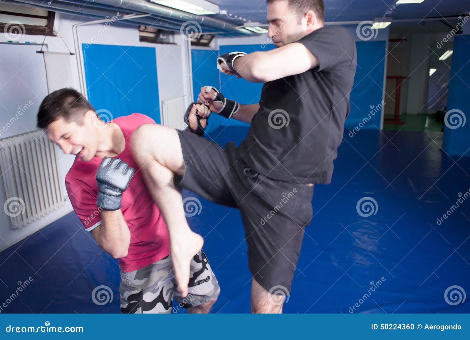 Kick with Knee in the Beard during Martial Arts Training Stock Photo Image of sparring