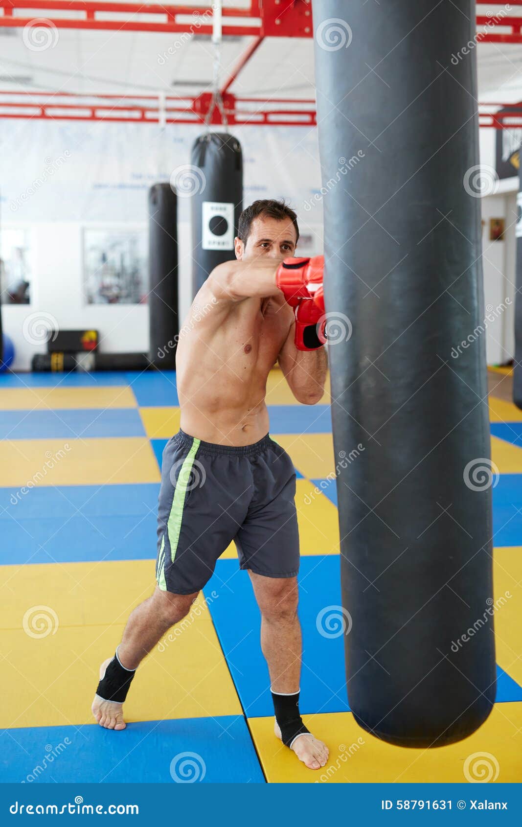 Kickbox Fighter Training with the Punch Bag Stock Image Image of