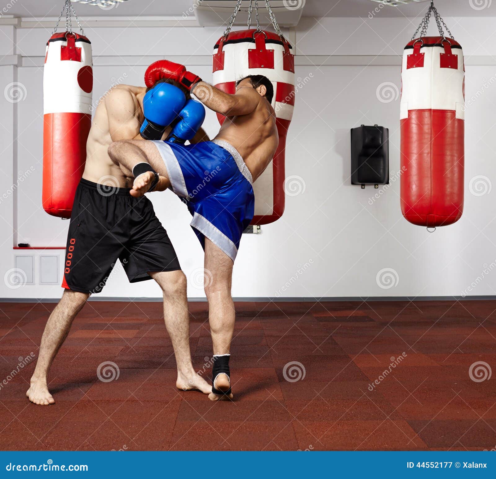 Kickbox Fighters Sparring in the Gym Stock Image Image of lifestyle