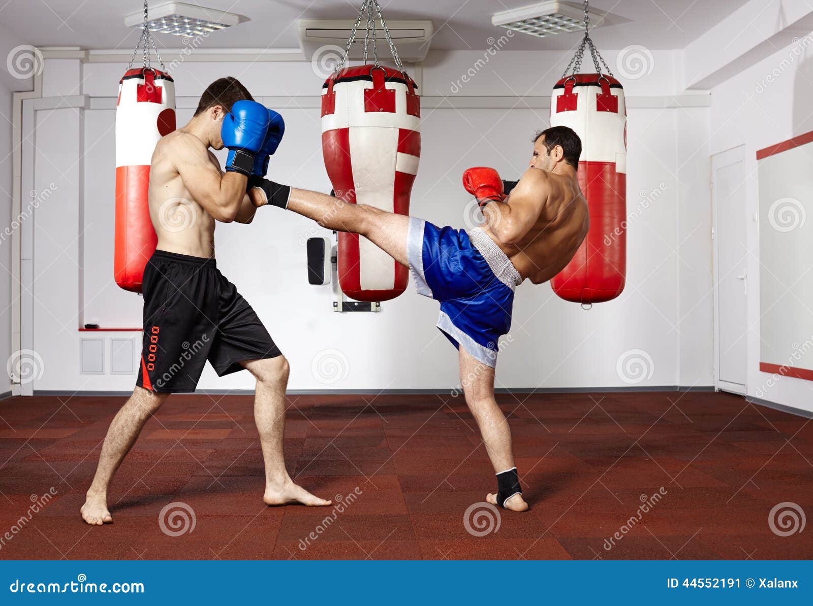 Kickbox Fighters Sparring in the Gym Stock Image Image of person