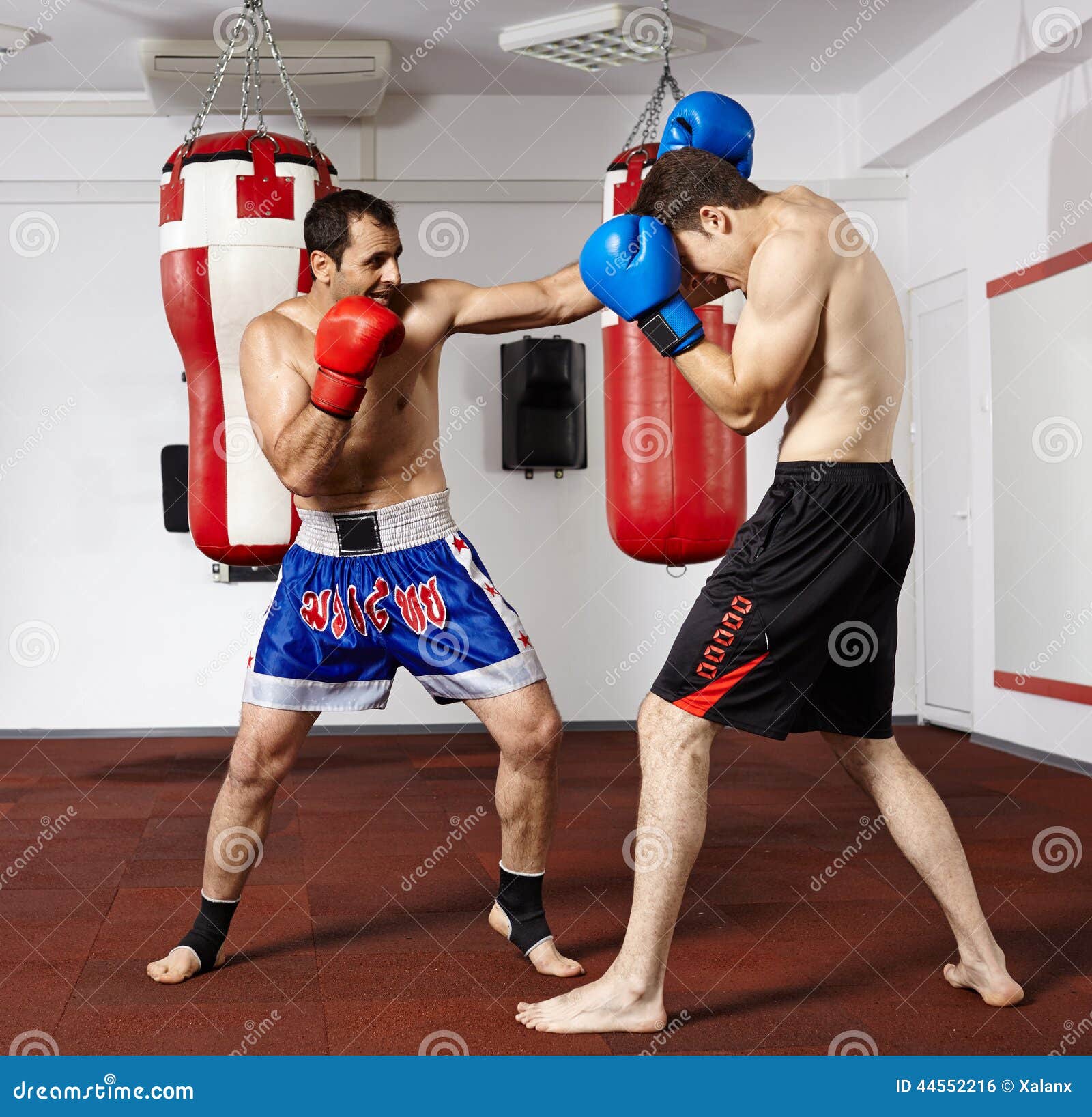 Kickbox Fighters Sparring in the Gym Stock Photo Image of lifestyle