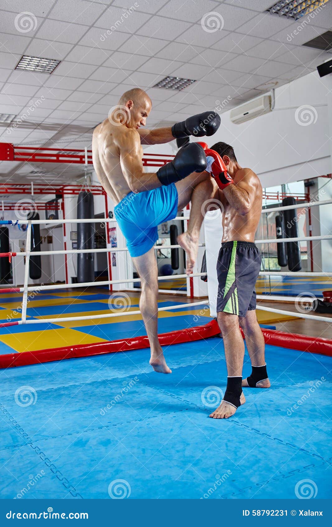 Kickbox Fighters Sparring in the Ring Stock Image Image of kickboxing