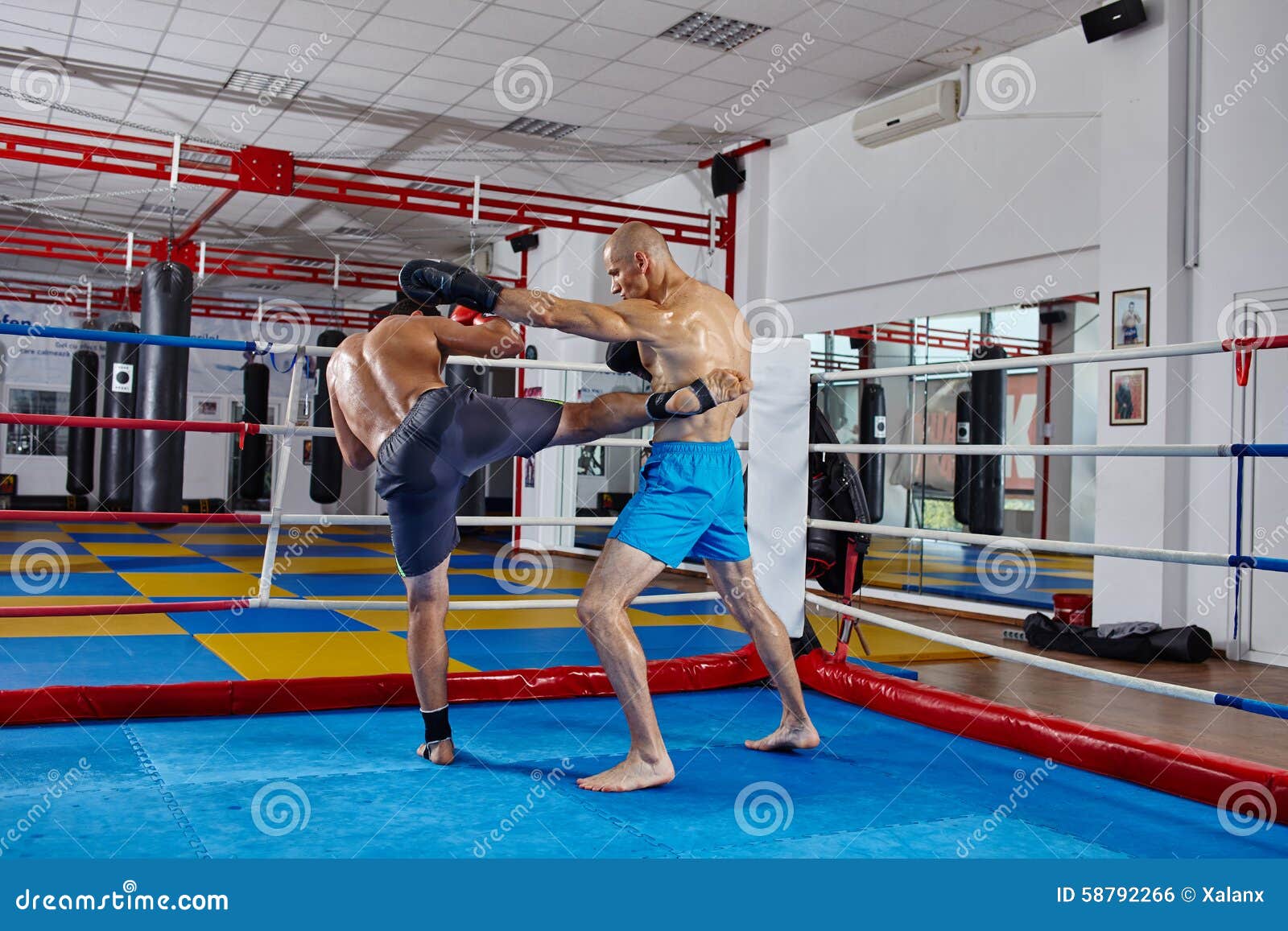 Kickbox Fighters Sparring in the Ring Stock Photo Image of kickboxing