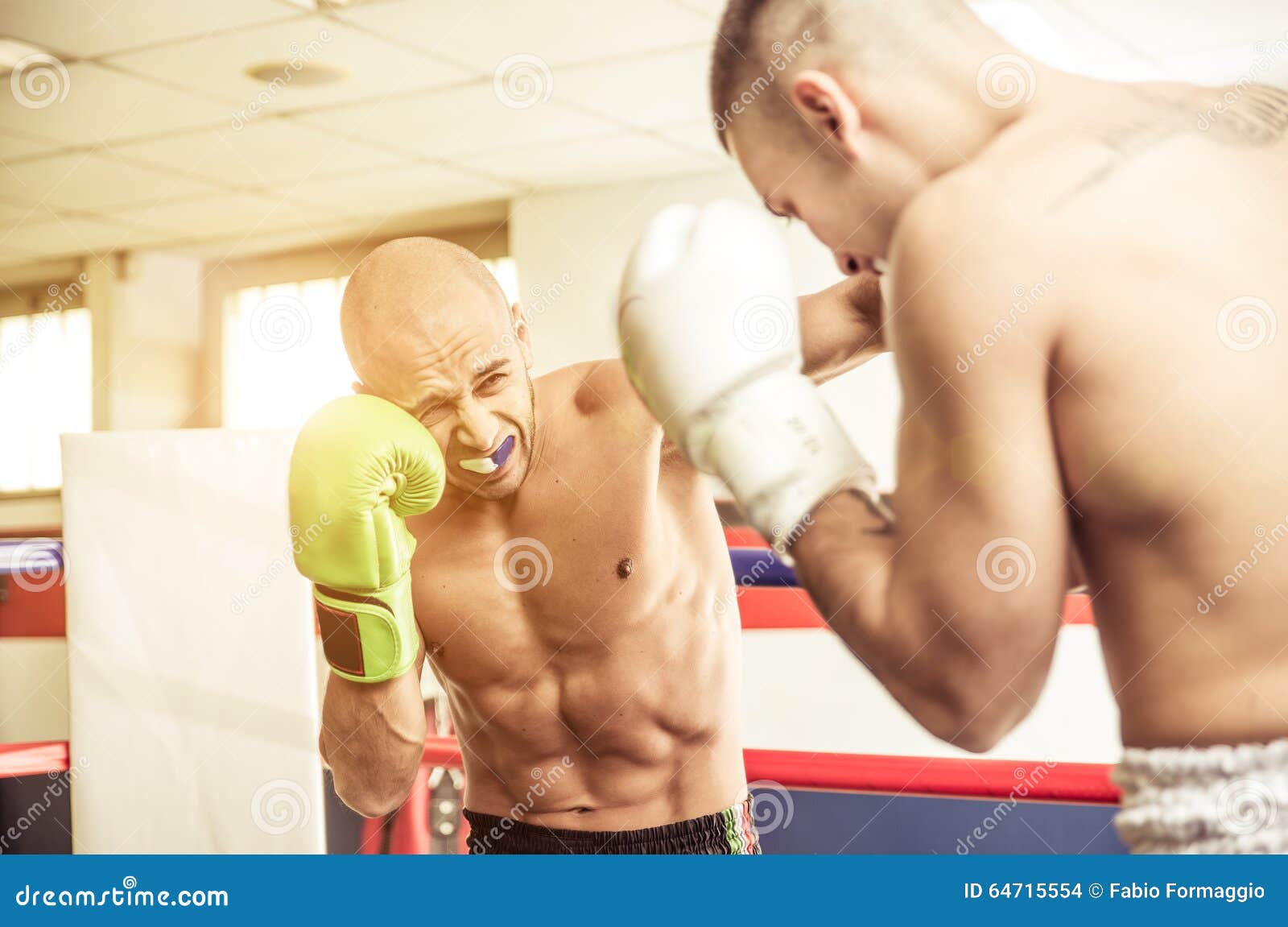 Kickboxers Training on the Ring Stock Photo Image of boxer, adult 64715554