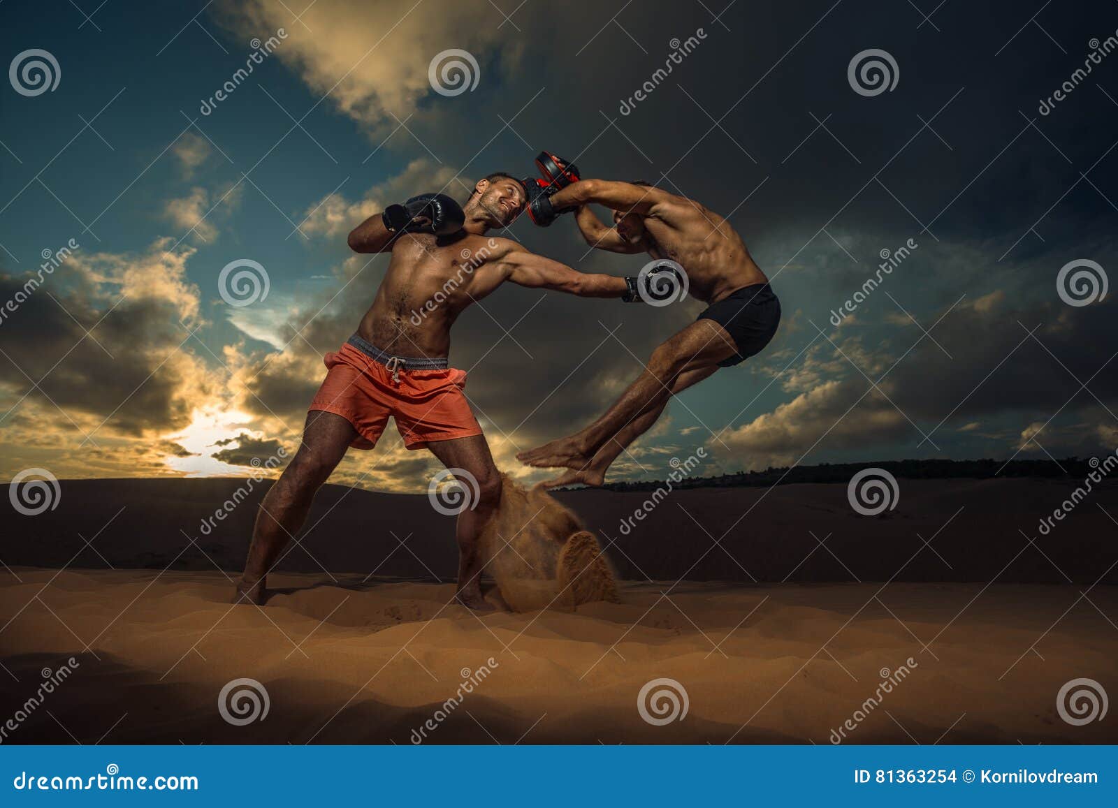 Strong athletic young female boxer stock photo (126587