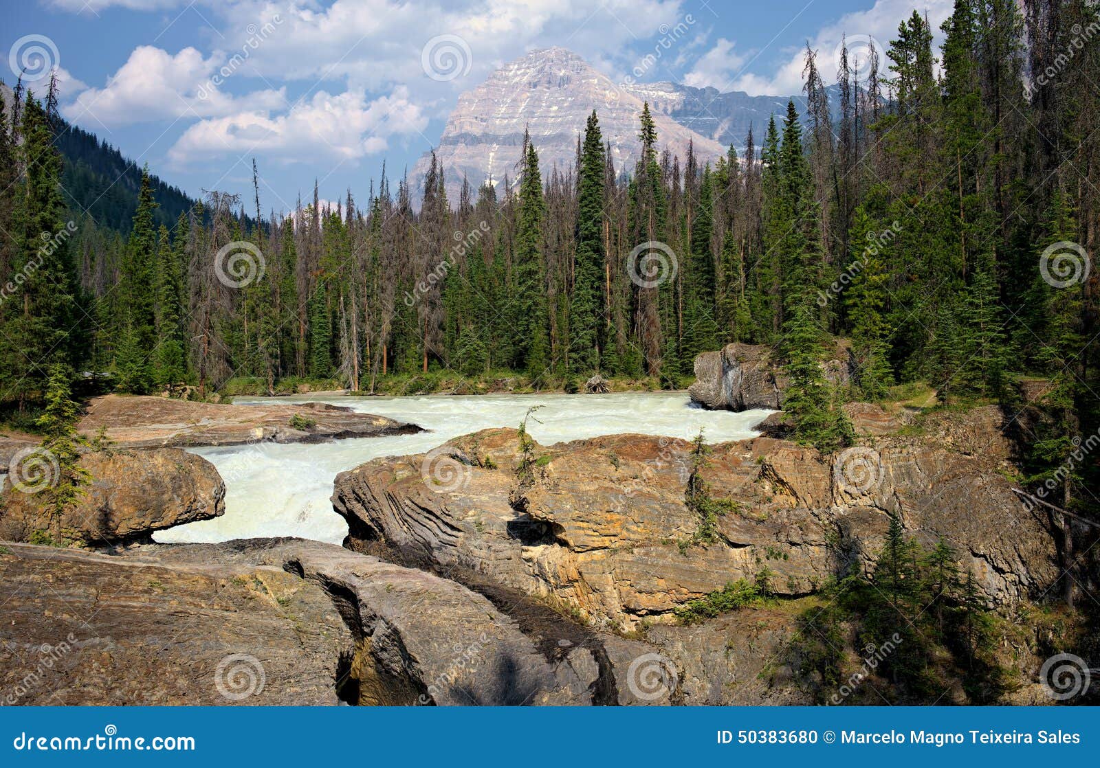 the kicking horse river with mt. stephen in the background, yoho national park, british columbia, canada