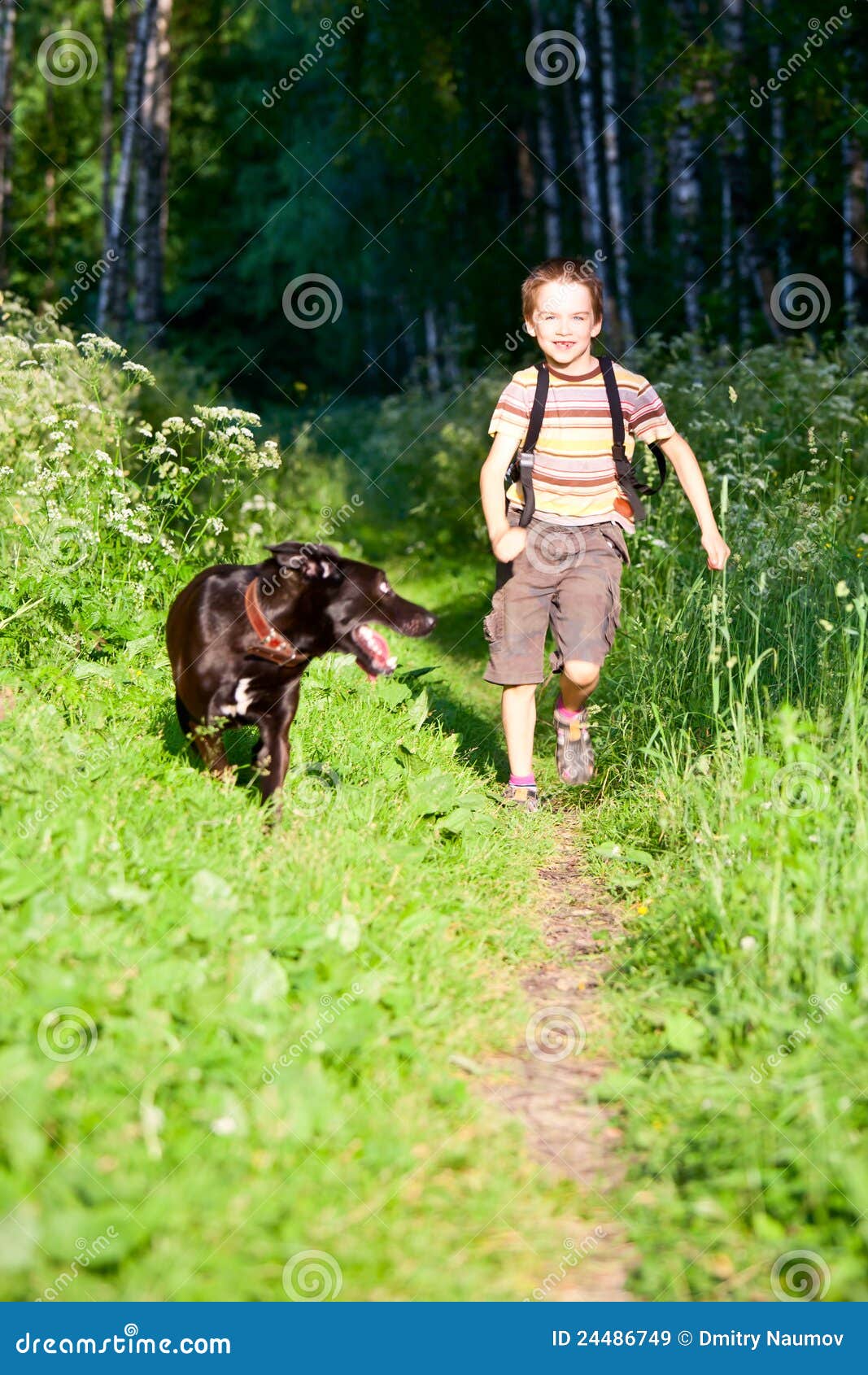 Kid with a dog stock image. Image of outback, park, retriever 24486749