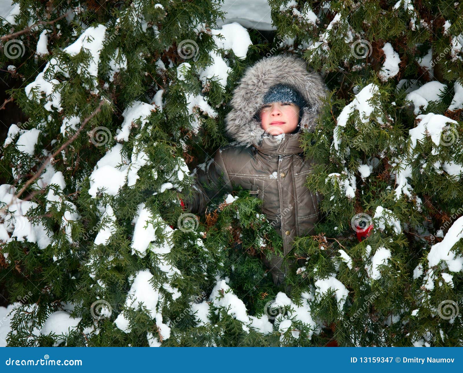 Kid hiding in fir trees stock image. Image of game, park 13159347