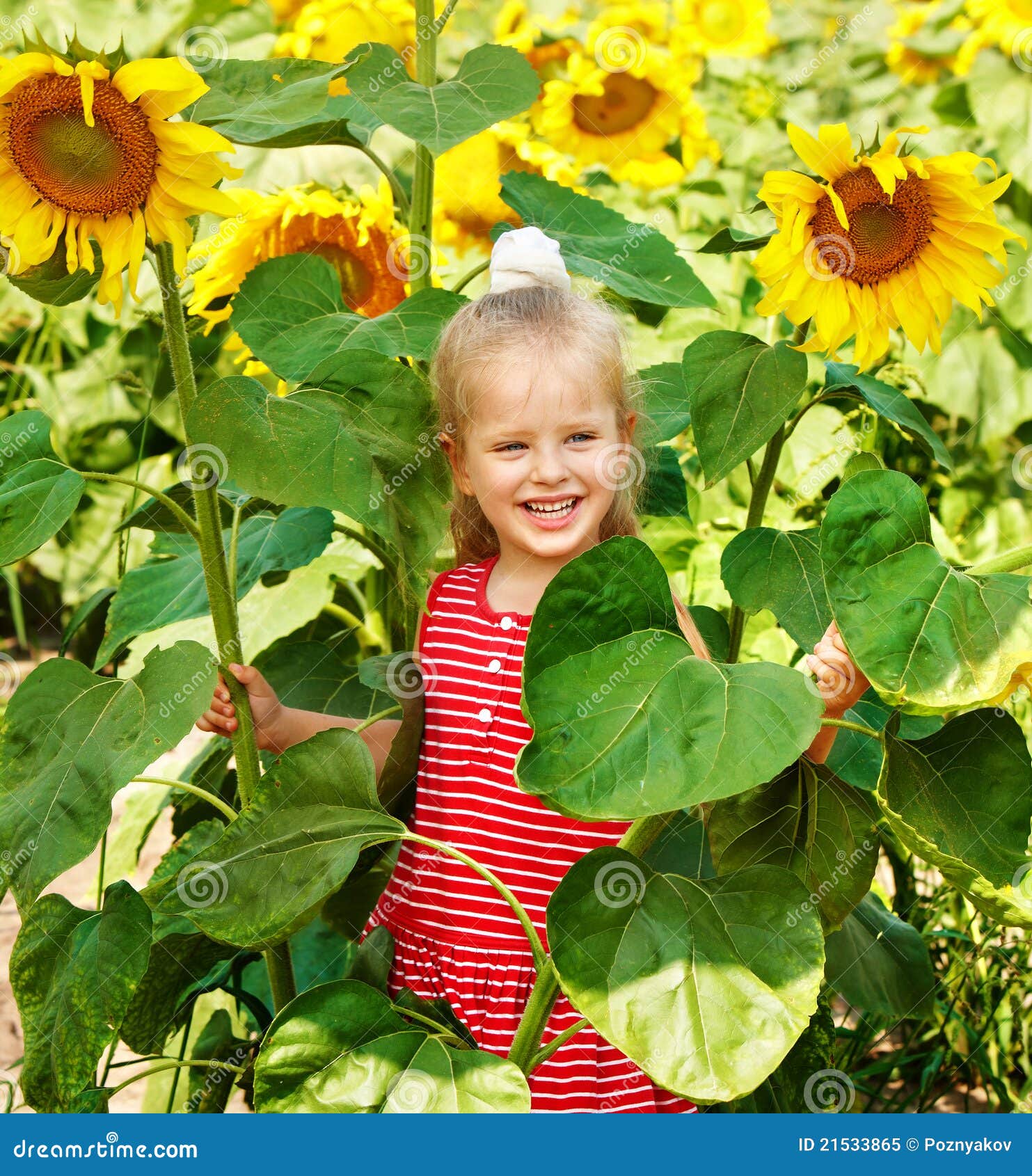 Kid Holding Sunflower Outdoor. Stock Image Image of outdoor, floral