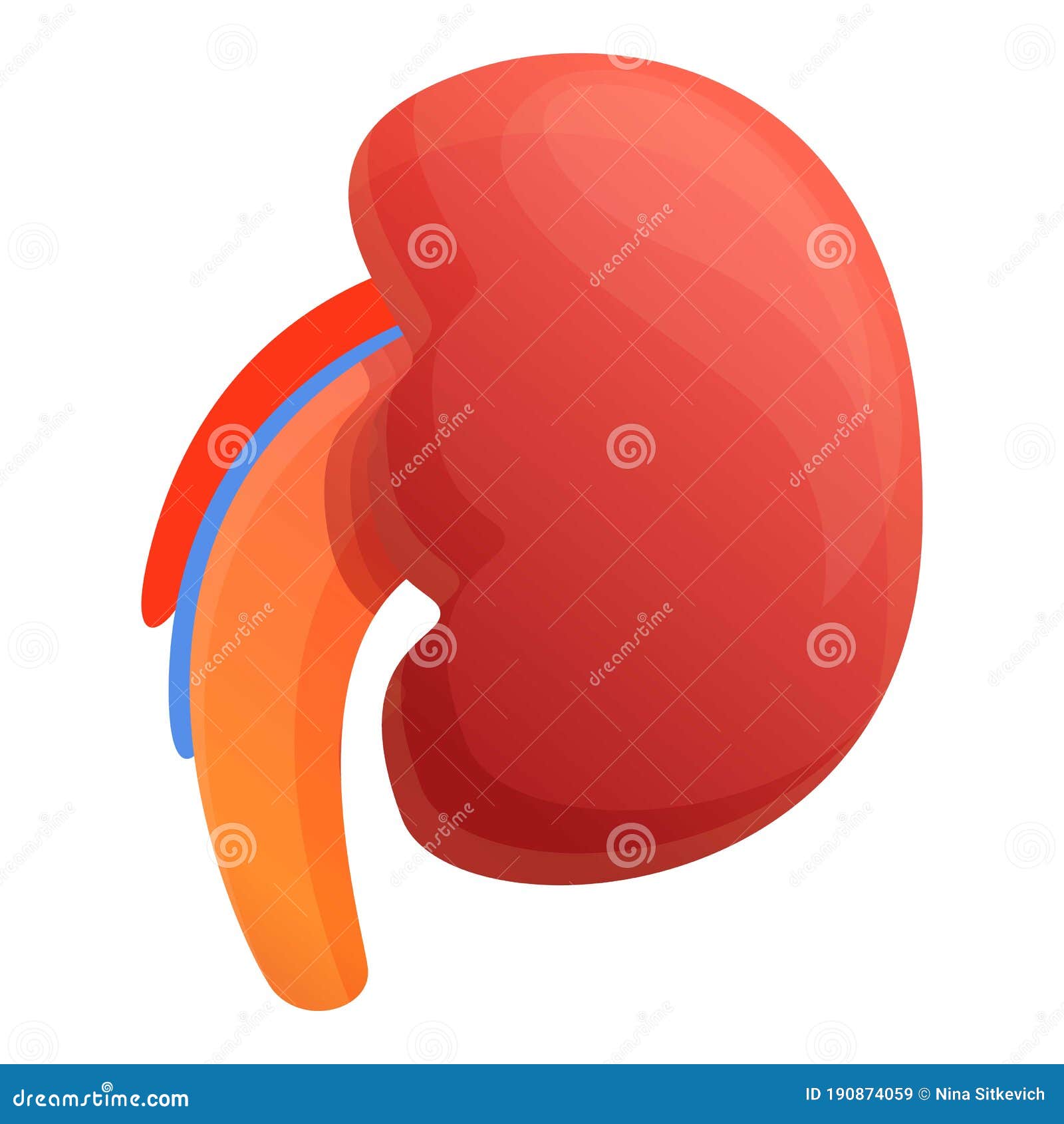 Kid Kidney Icon, Cartoon Style Stock Vector - Illustration of kidney ...