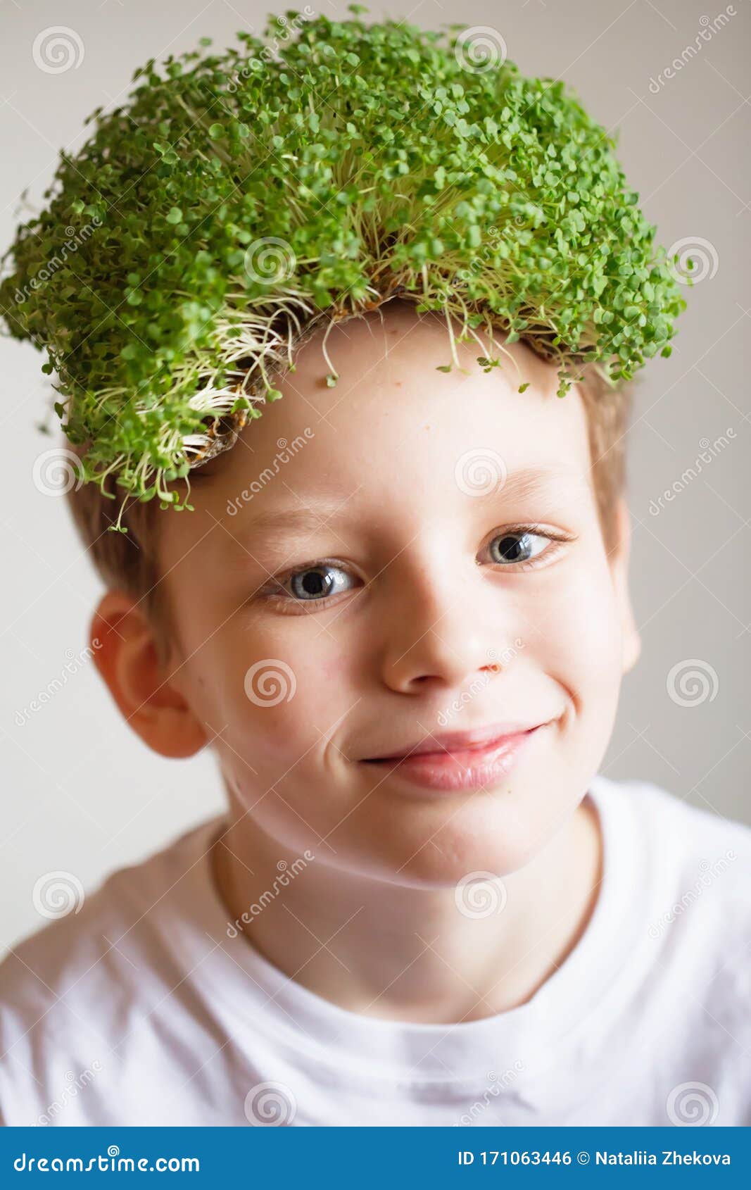 Kid with a Microgreens Hair. Healthy Vegan Foods Concept. Cute Little Boy Holding Some Microgreens Stock Photo - Image of growth, greens: 171063446 Kid with a Microgreens Hair. Healthy Vegan Foods Concept. Cute Little Boy Holding Some Microgreens Stock Photo - Image of growth, greens: 171063446