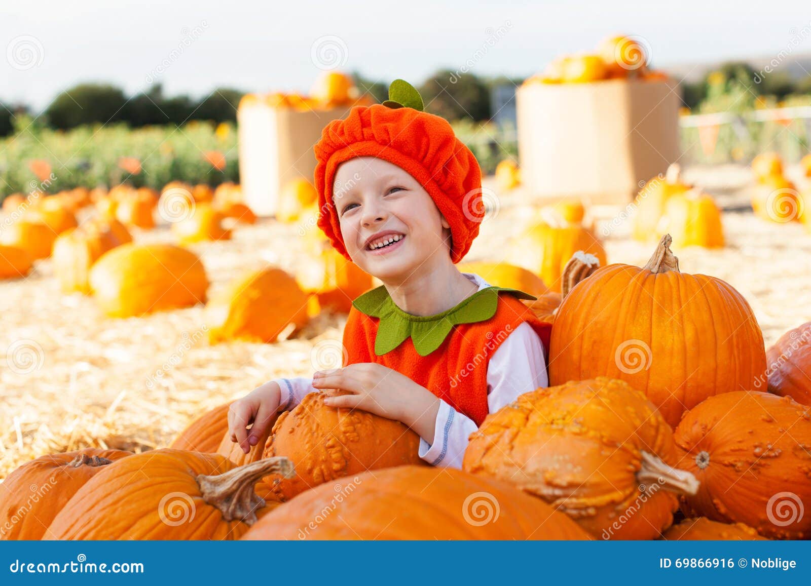 Kid at pumpkin patch stock photo. Image of happy, person - 69866916