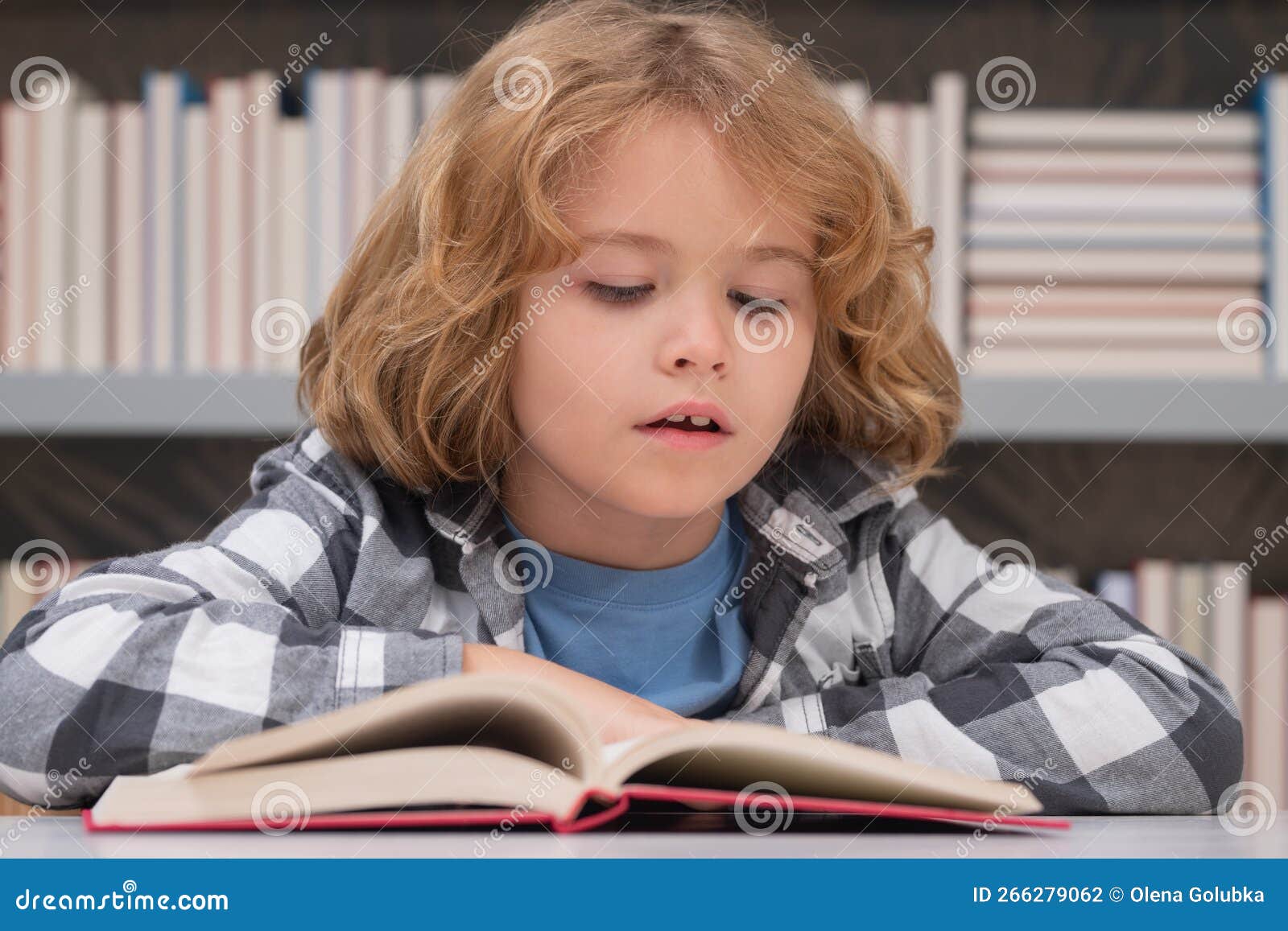 Kid Reading Book in a Book Store or Library, Stock Photo Image of