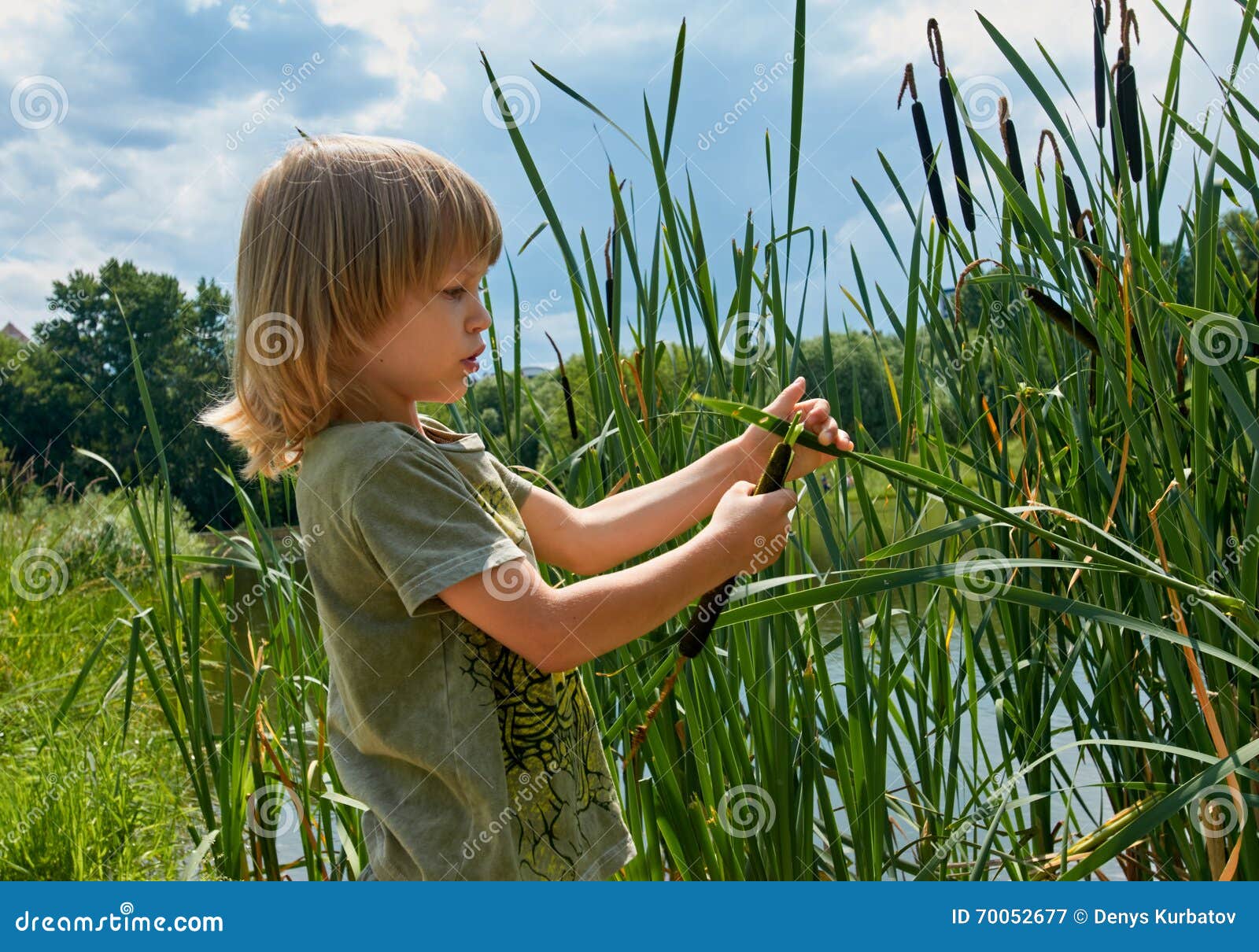 Kid in summer. Cute boy playing with bulrush outdoor. summer