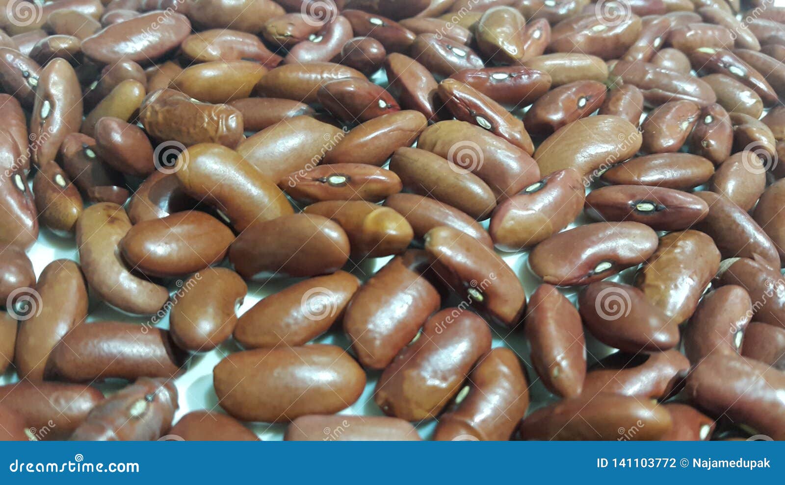 Kidenry Beans Closeup View of Uncooked Red Kidney Beans Stock Photo Image of bean, background