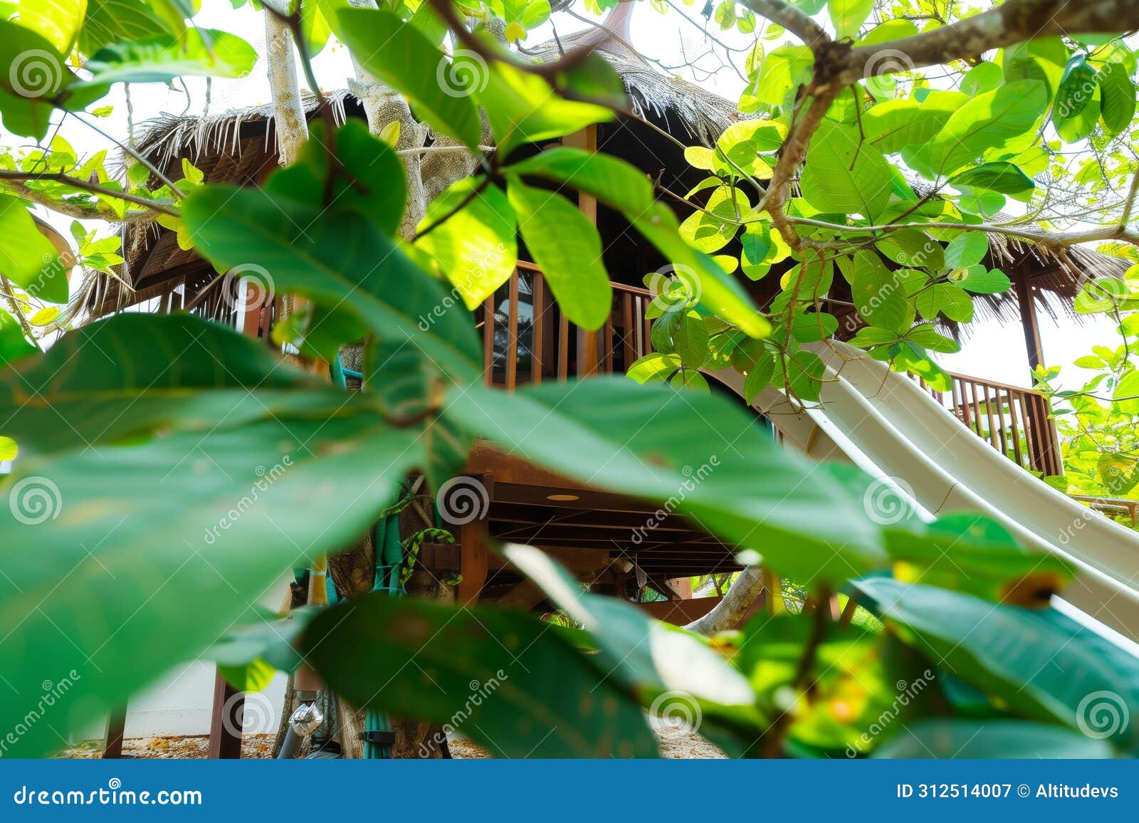 kidfriendly treehouse cafe with a slide exit amidst green leaves