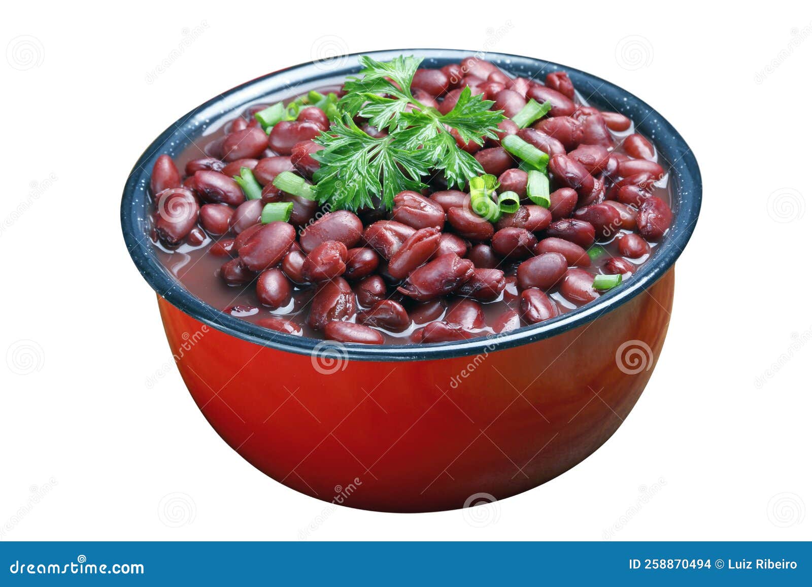 Kidney bean vegetables stock photo. Image of isolated 258870494