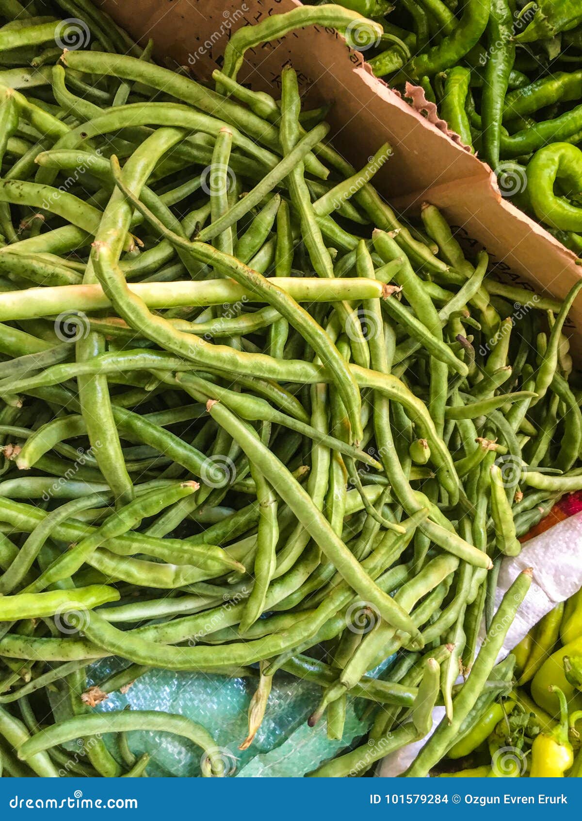 Kidney bean plant stock photo. Image of background, food 101579284