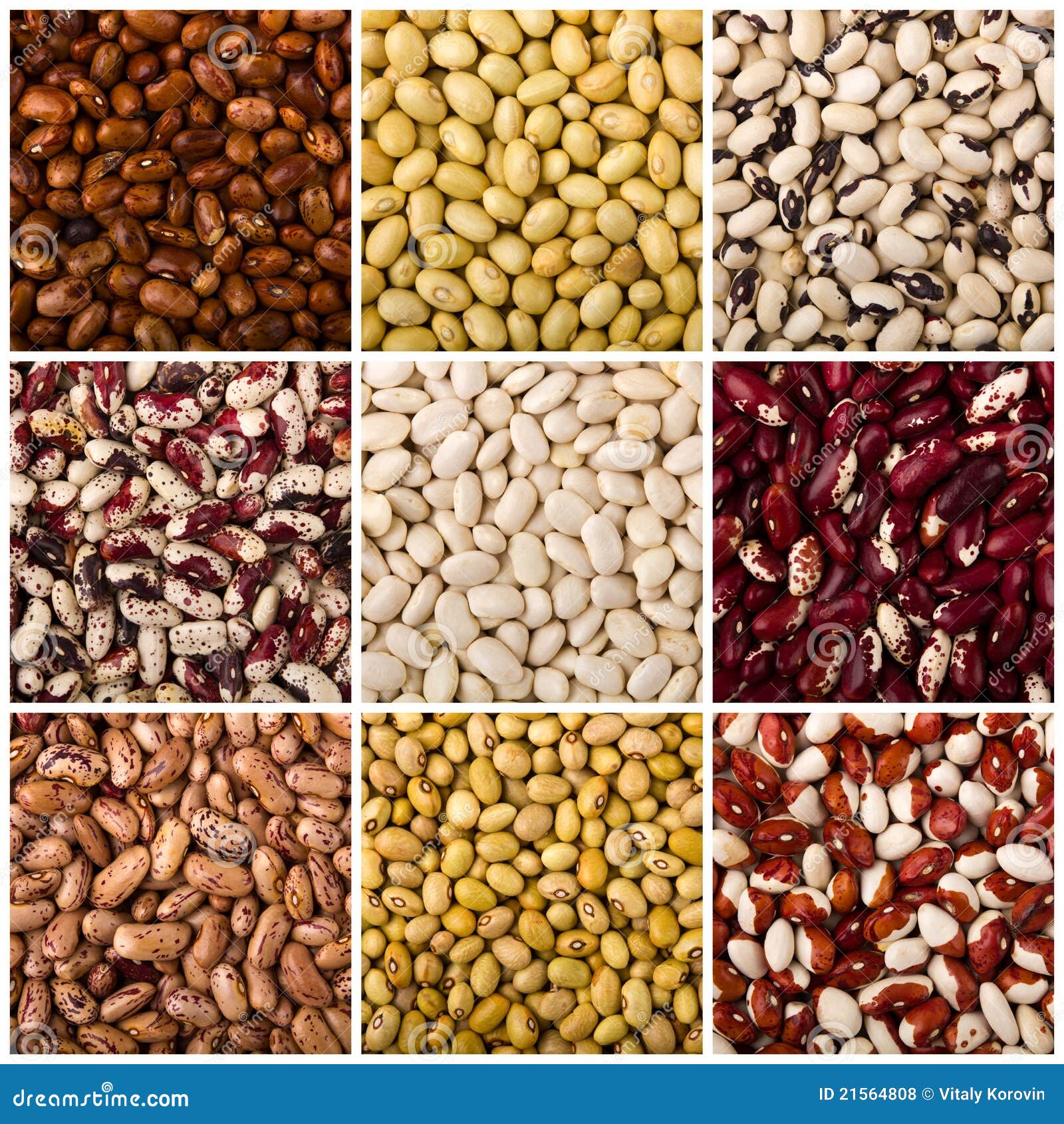 Kidney Beans stock photo. Image of assortment, isolated
