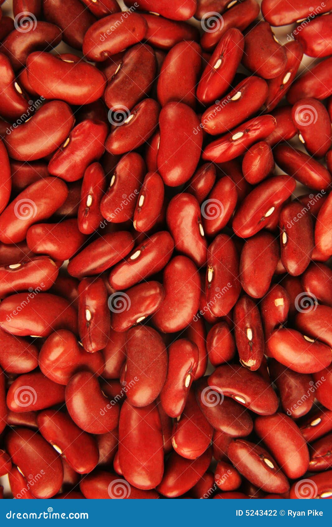 Kidney beans stock photo. Image of vegetarian, organic 5243422