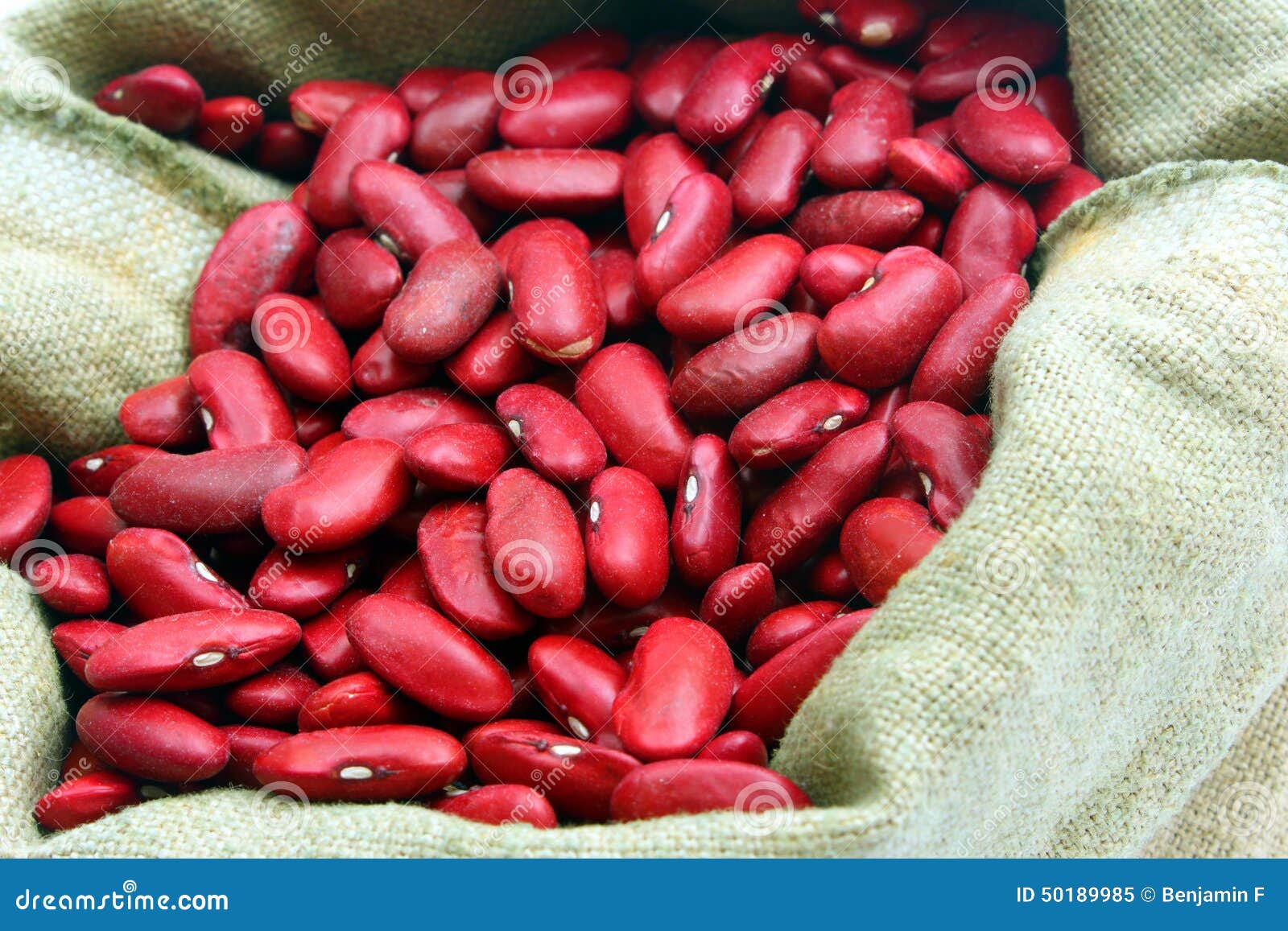 Kidney stock image. Image of heap, uncooked, natural 50189985