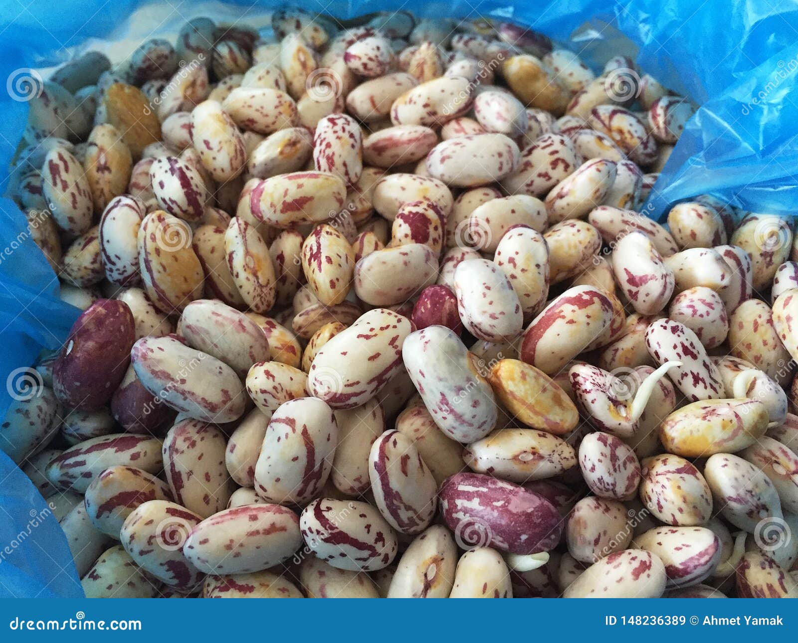 Kidney beans in a bag stock image. Image of plastic 148236389