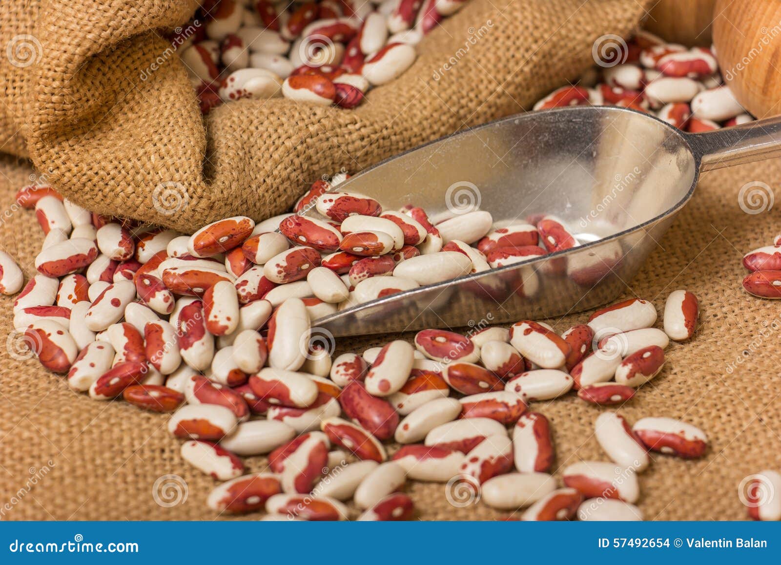 Kidney Beans stock photo. Image of eating, agriculture 57492654