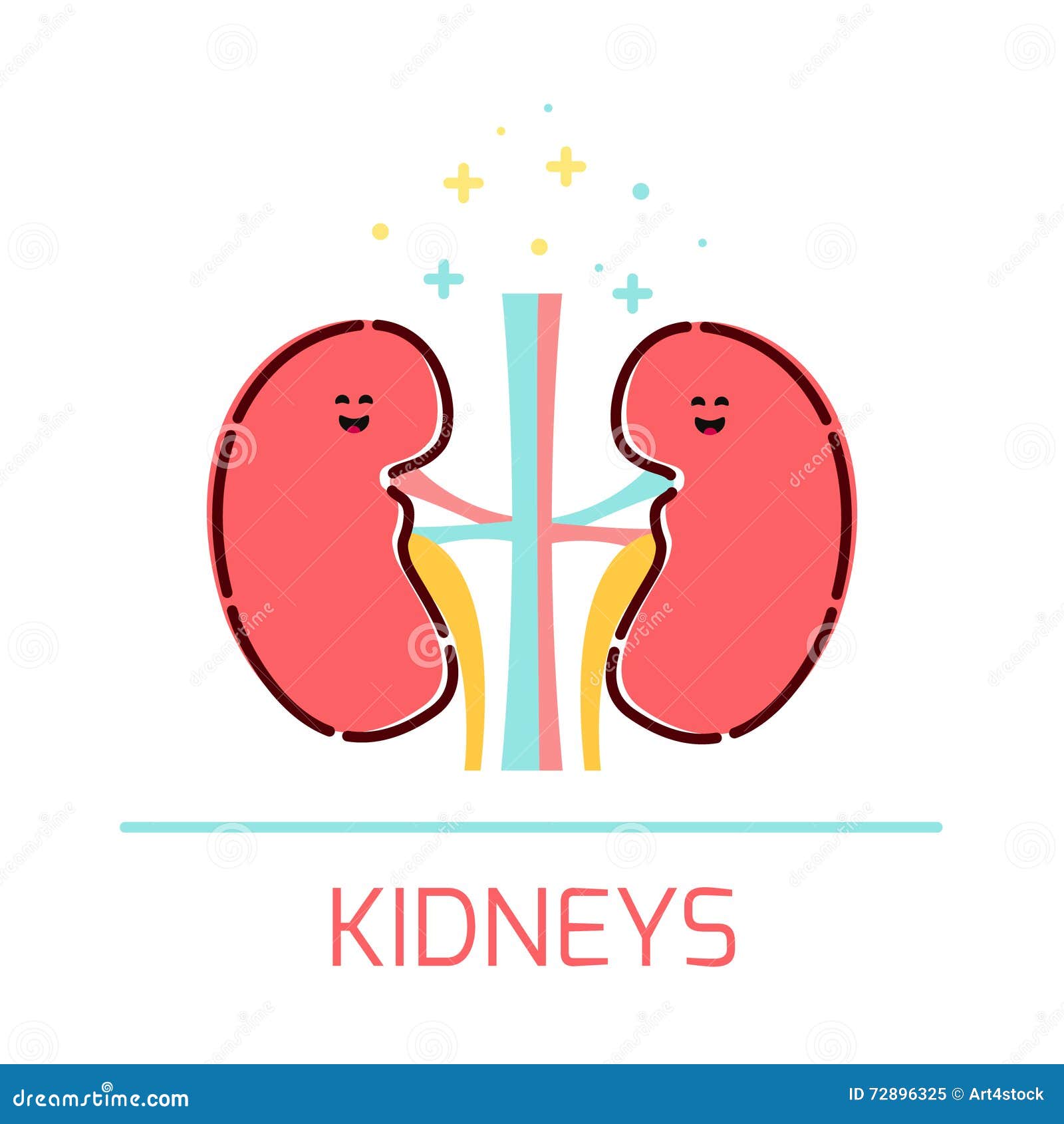 Kidney cartoon icon stock illustration. Illustration of design - 72896325