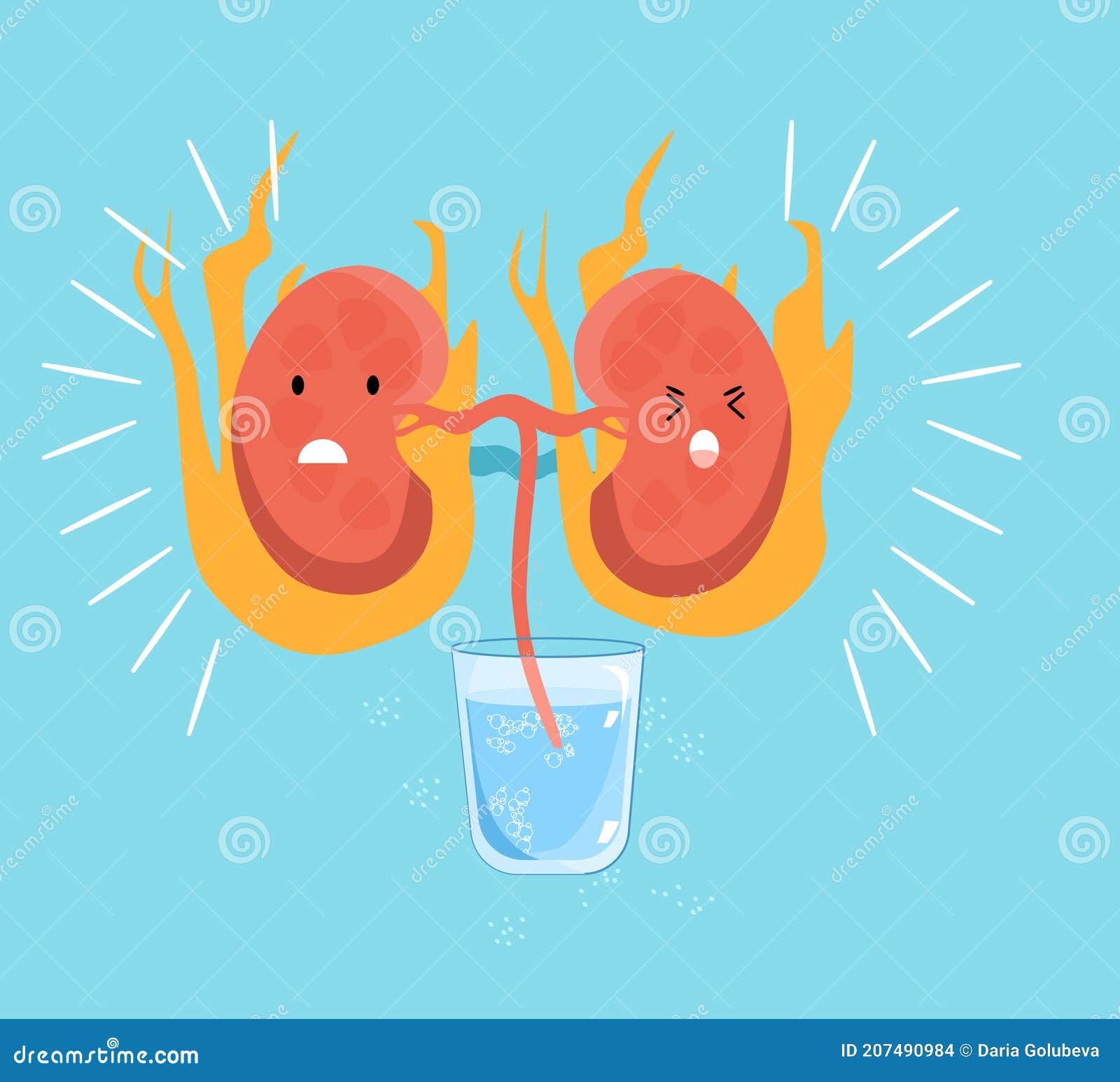 Human Kidney Filtration Stock Illustrations – 144 Human Kidney Filtration  Stock Illustrations, Vectors & Clipart - Dreamstime