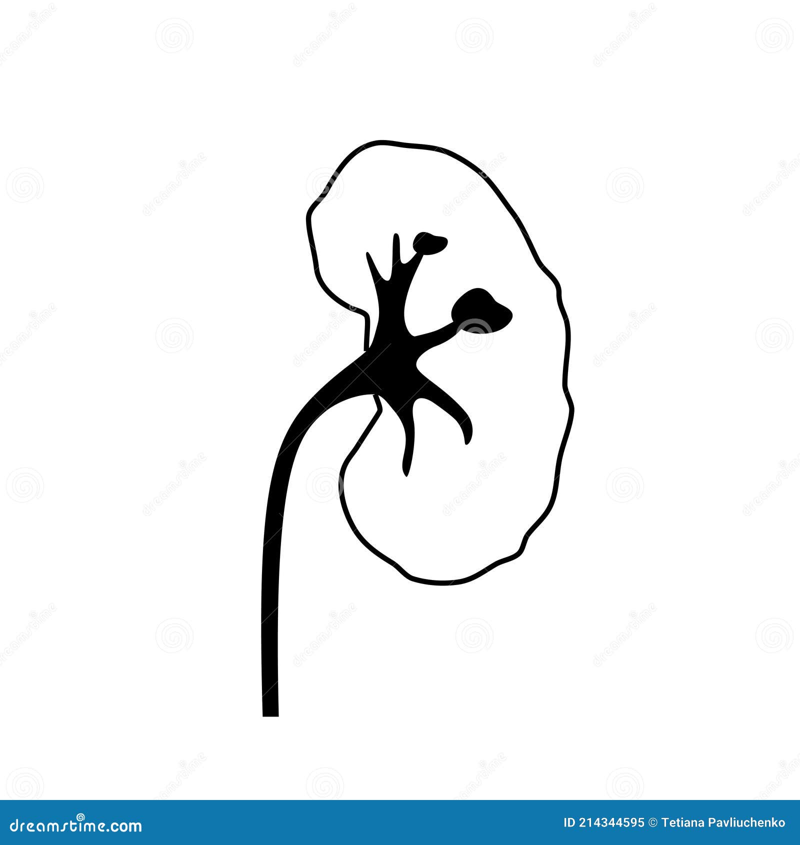 Kidney disease concept stock vector. Illustration of urology - 214344595