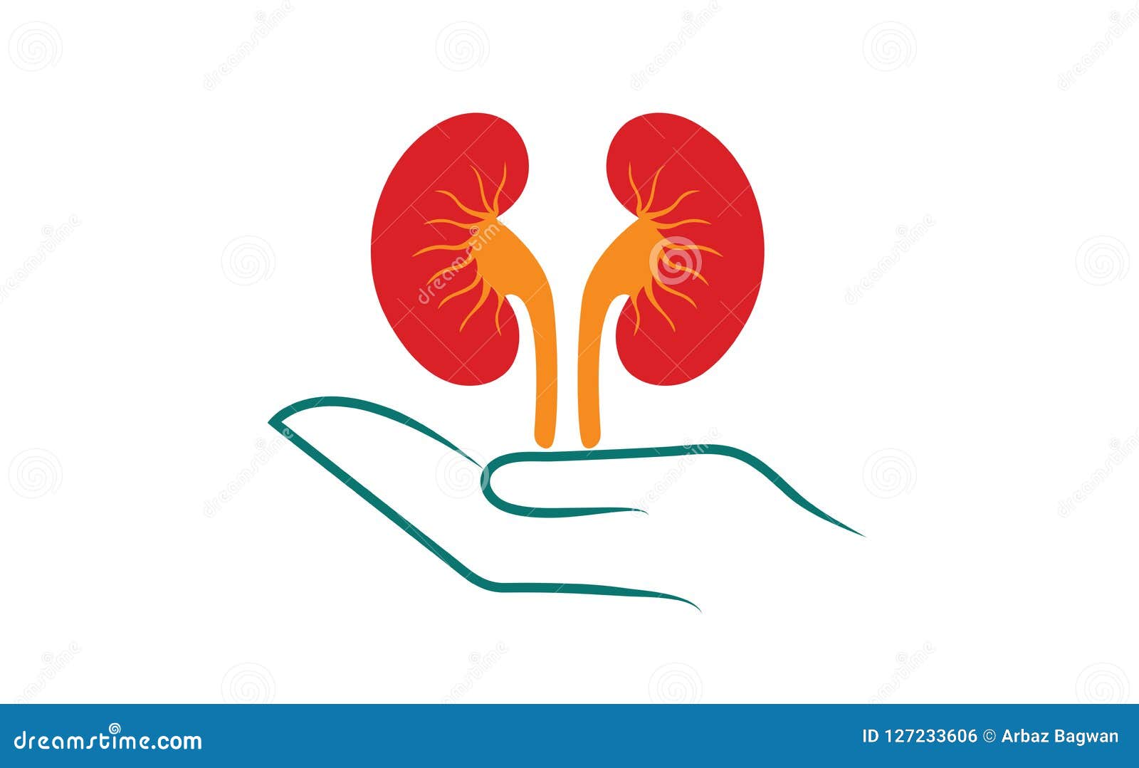 Kidney Save Vector Illustration 127233606