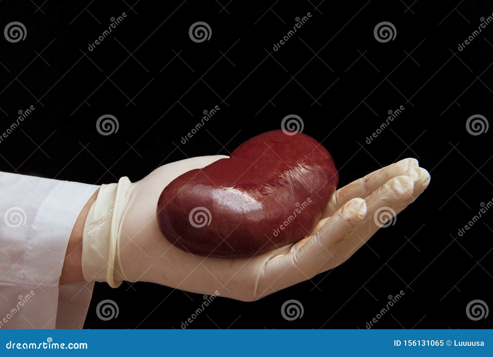 surgeon simulator double kidney transplant surgeon simulator double kidney transplant