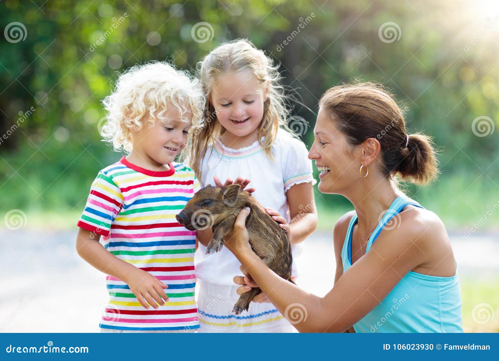 kids with baby pig animal. children at farm or zoo