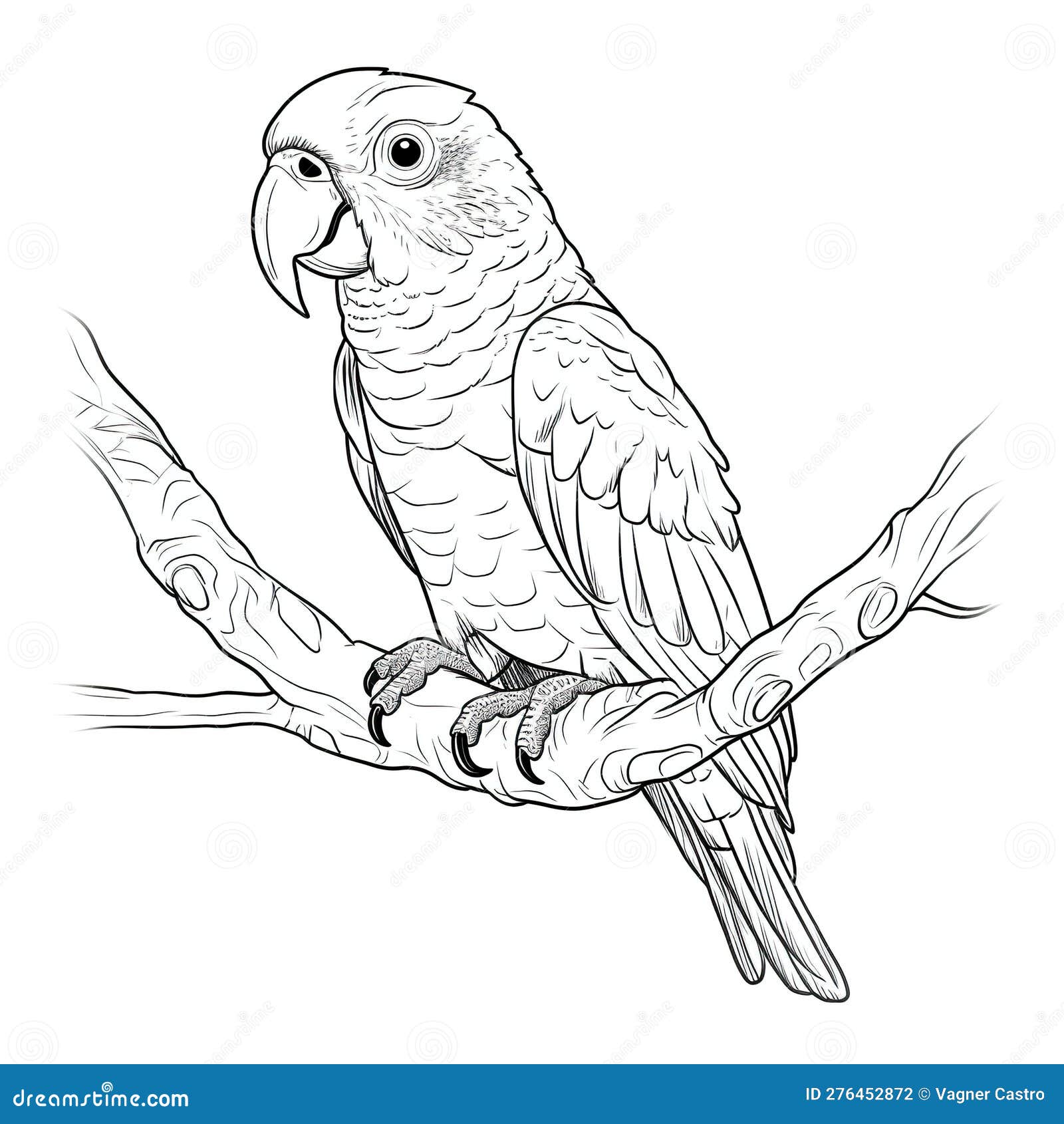 Kids Coloring Page of a Parrot on the Tree that is Blank and ...