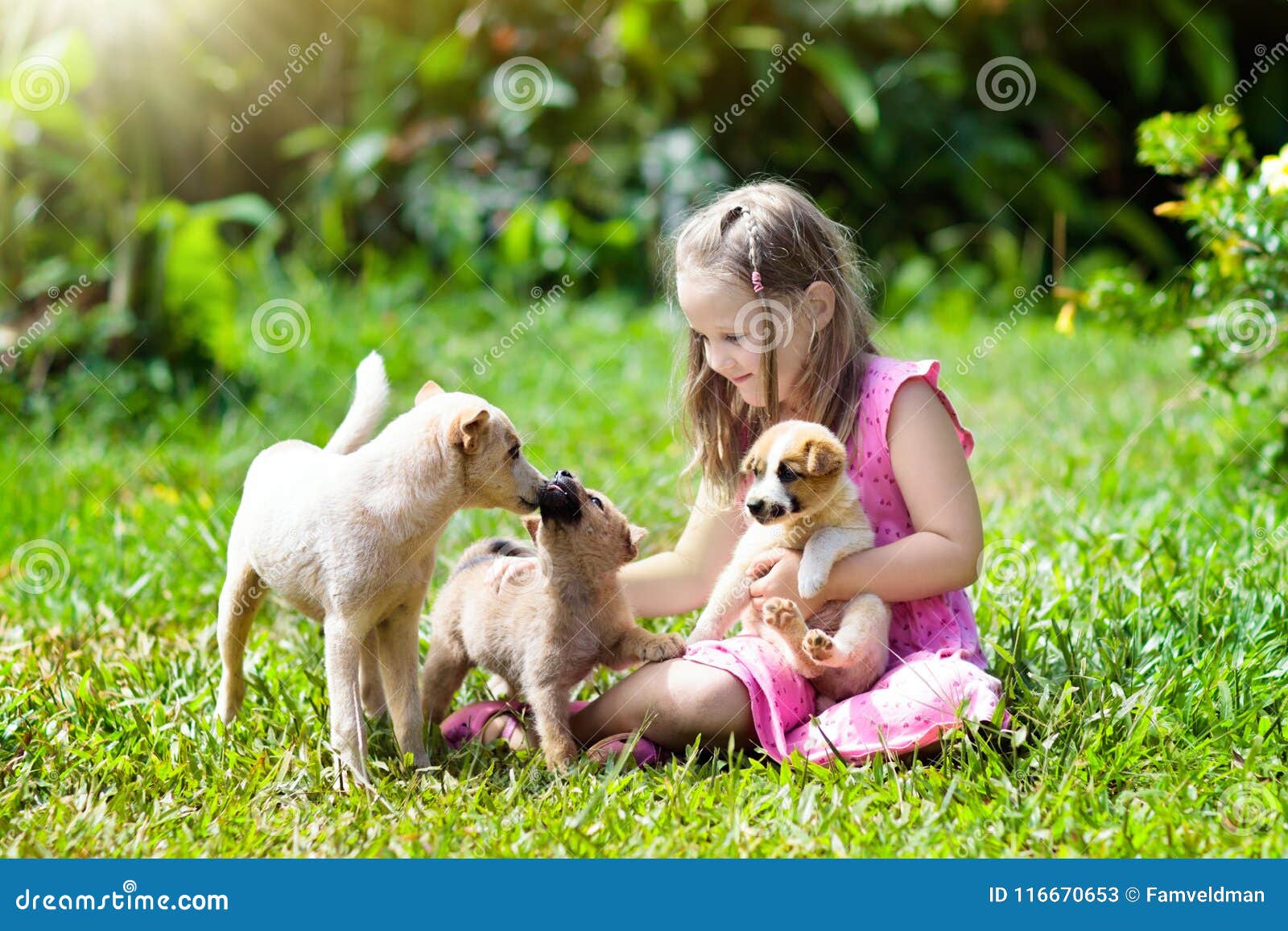 Kids Play with Puppy. Children and Dog in Garden. Stock Image - Image of  people, park: 116670653