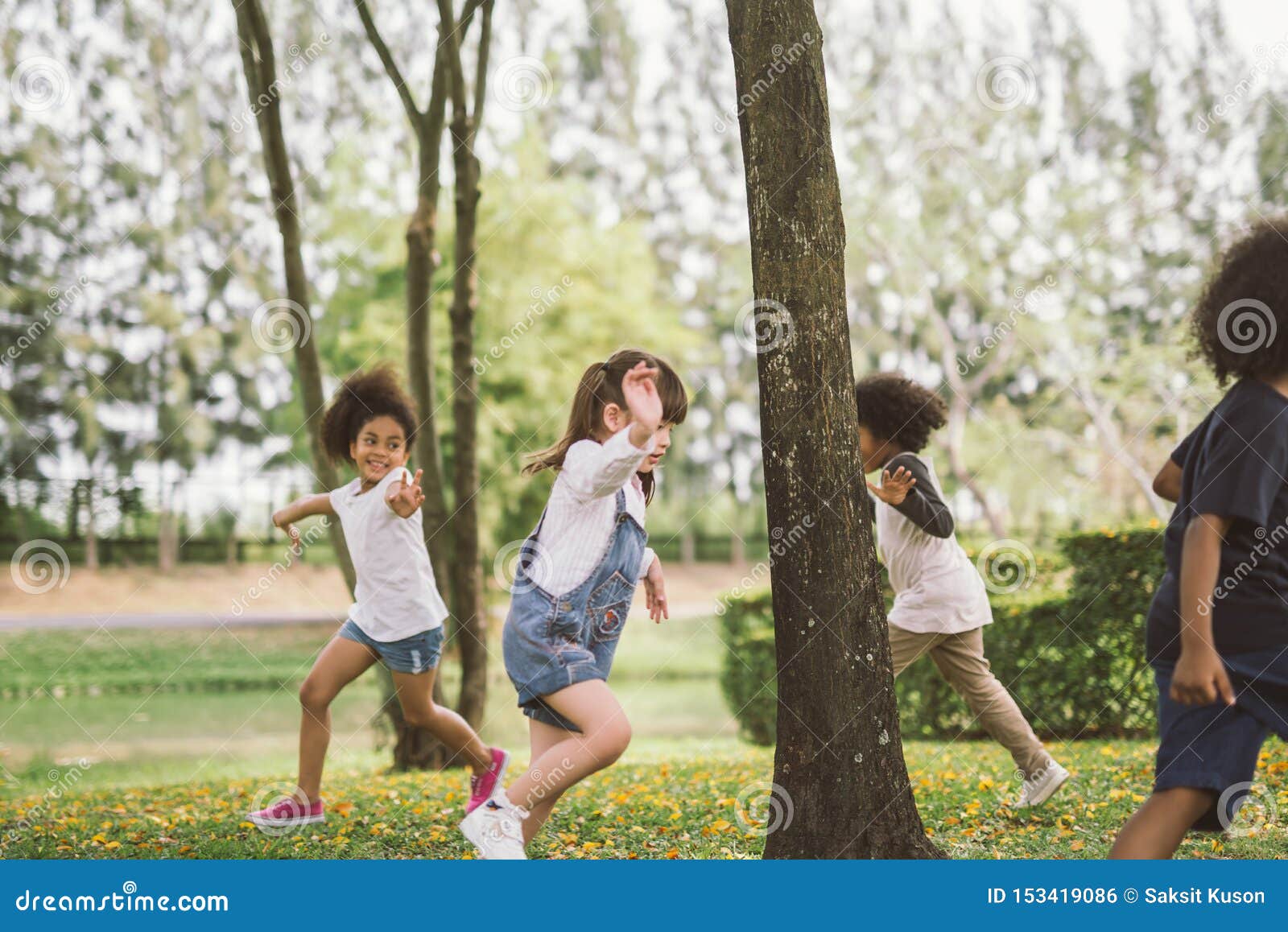 kids playing outdoors with friends. little children play at nature park.