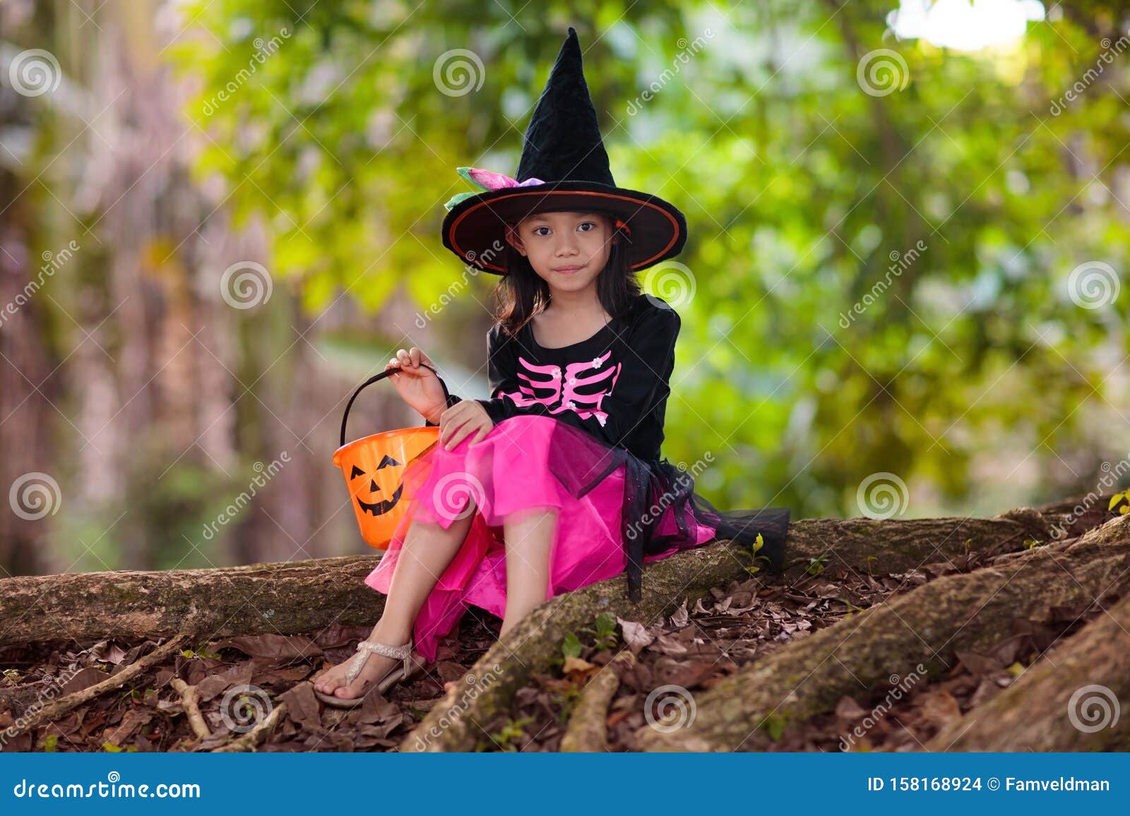 Kids with Pumpkins in Halloween Costumes Stock Photo - Image of black ...
