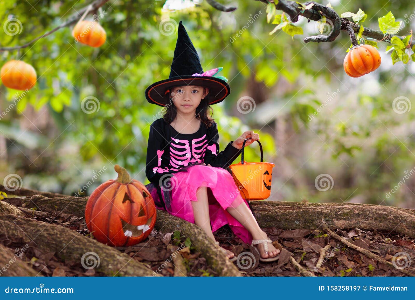 Kids with Pumpkins in Halloween Costumes Stock Image - Image of chinese ...