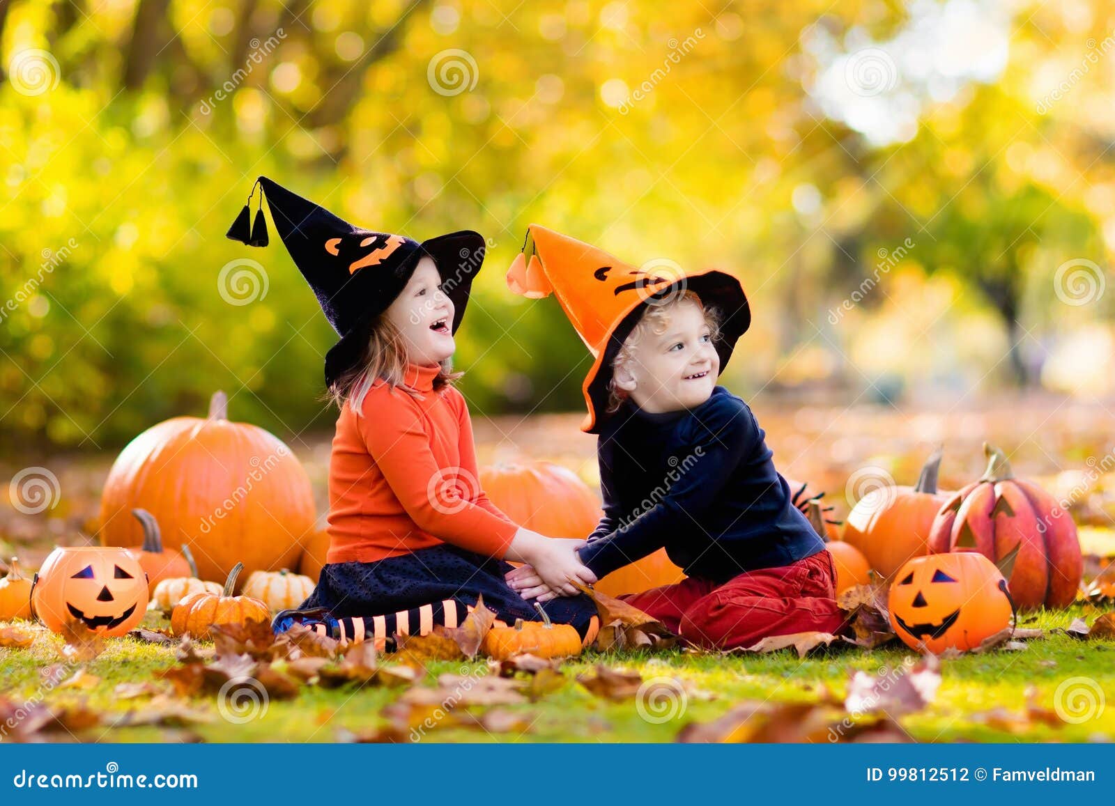 Kids with Pumpkins in Halloween Costumes Stock Photo - Image of orange ...
