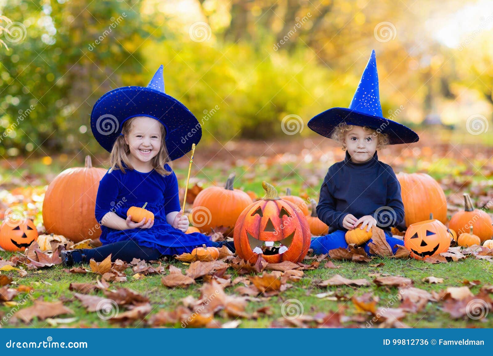 Kids with Pumpkins in Halloween Costumes Stock Photo - Image of black ...