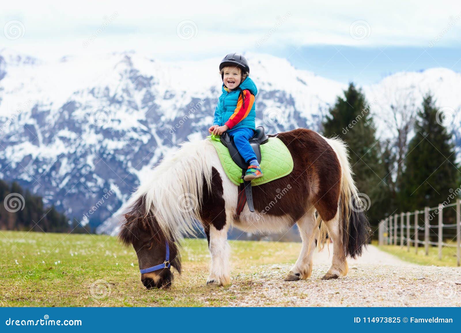 toddler ride on pony