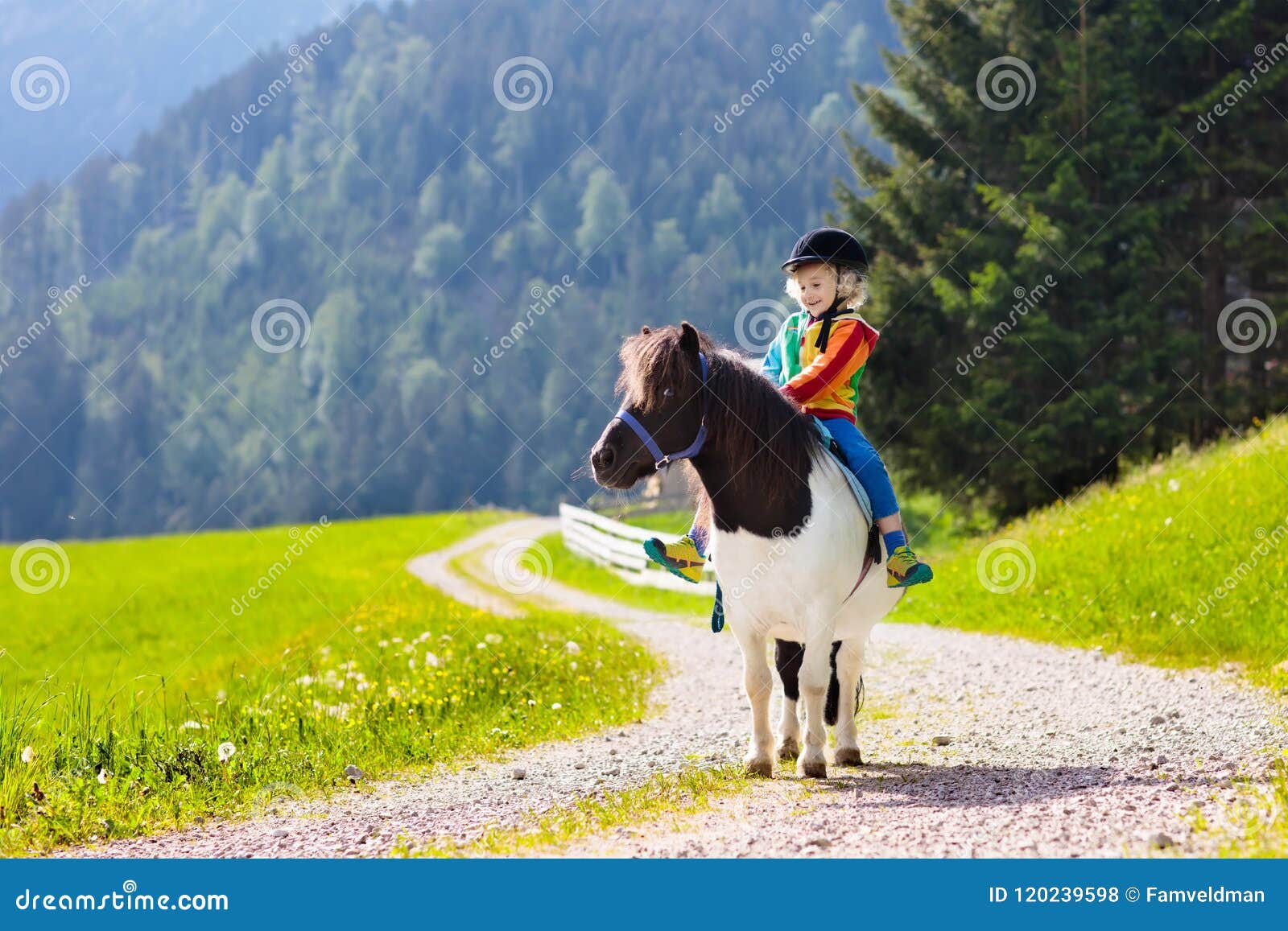kids riding pony. child on horse in alps mountains