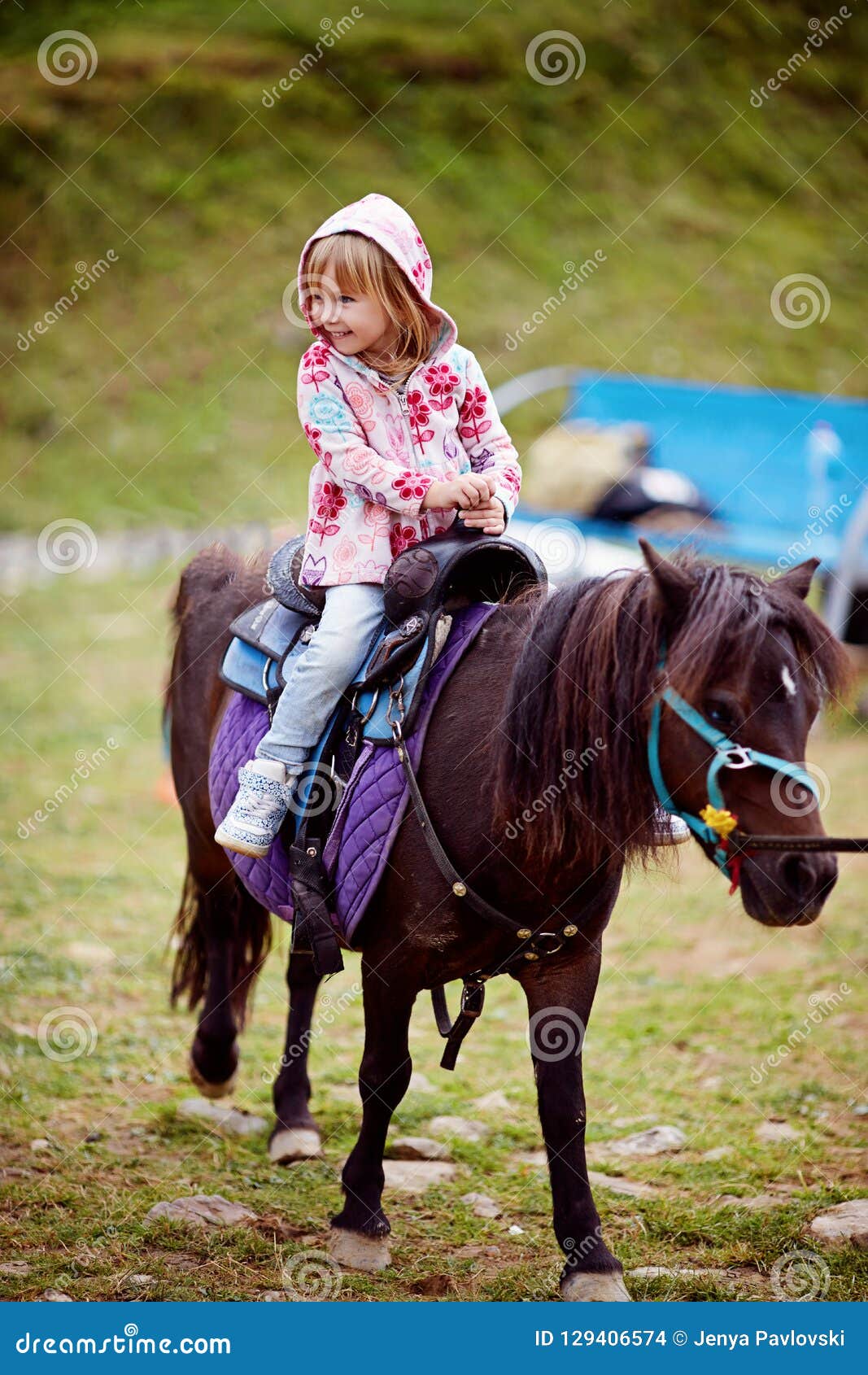 toddler ride on pony