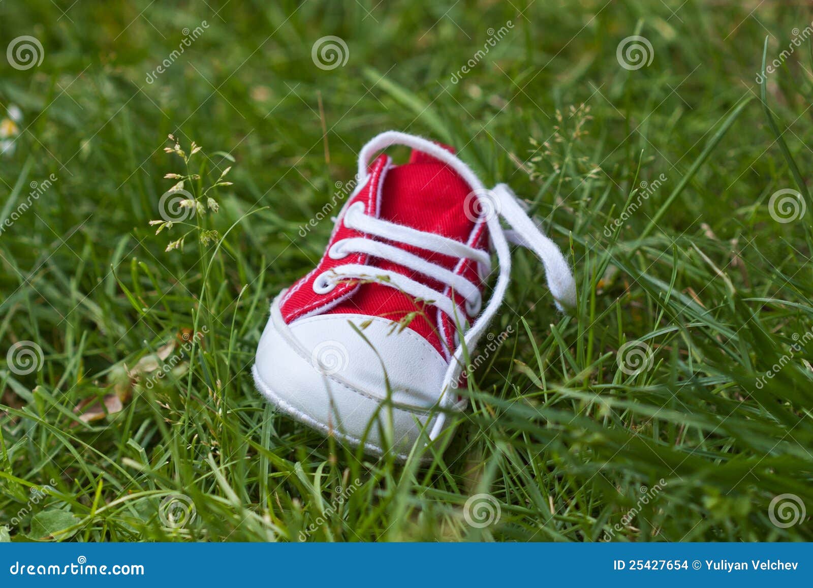 Kids shoe on grass stock photo. Image of suede, green 25427654