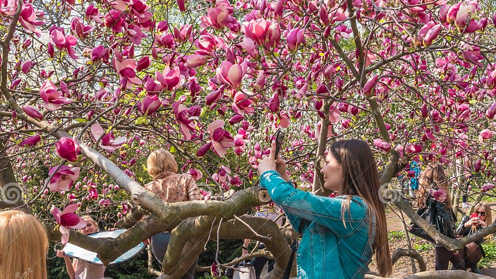 04 23 2019 Kiew, Ukraine Botanischer Garten in Der Mitte Der
