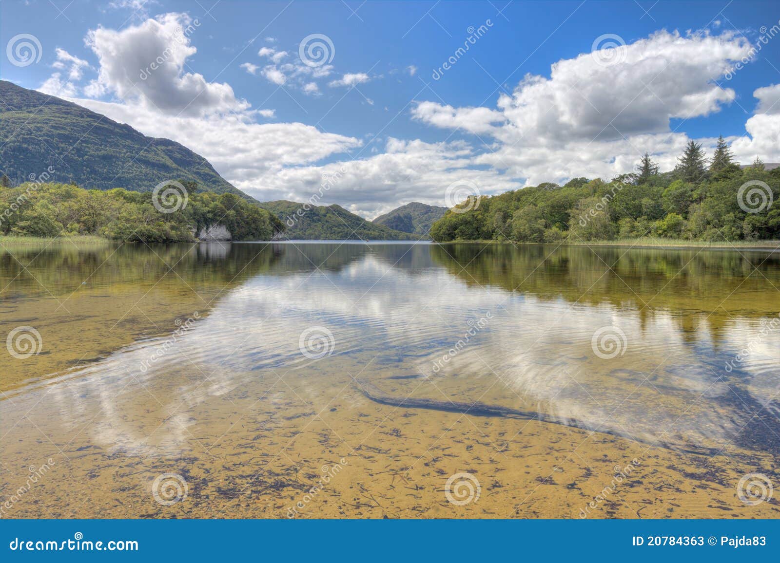 Killarney S Lake in National Park - Ireland. Stock Image - Image of ...