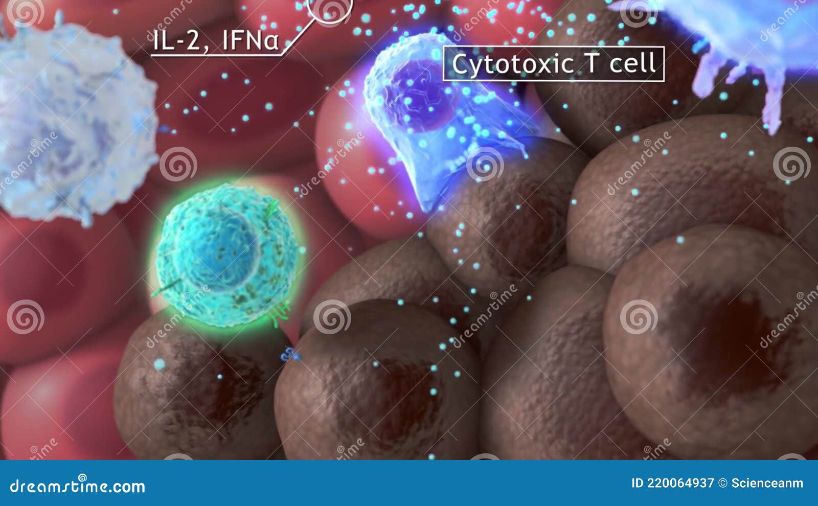 Killer Cell Attacking Cancer Cell Stock Illustration Illustration Of