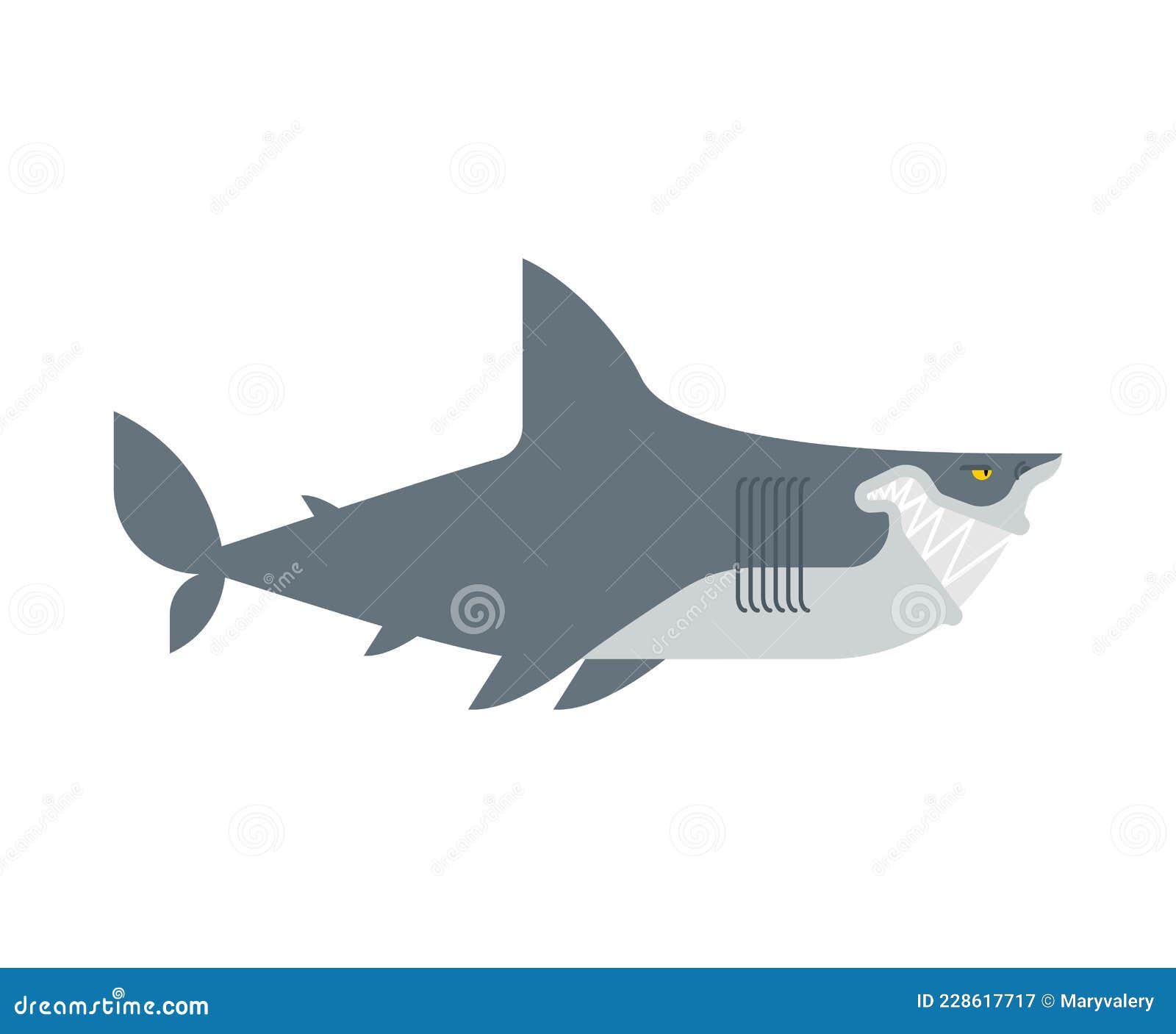 Killer Shark Isolated. Sea Predator. Big Fish Monster. Vector Illustration  Stock Vector - Illustration of marine, dangerous: 228617717