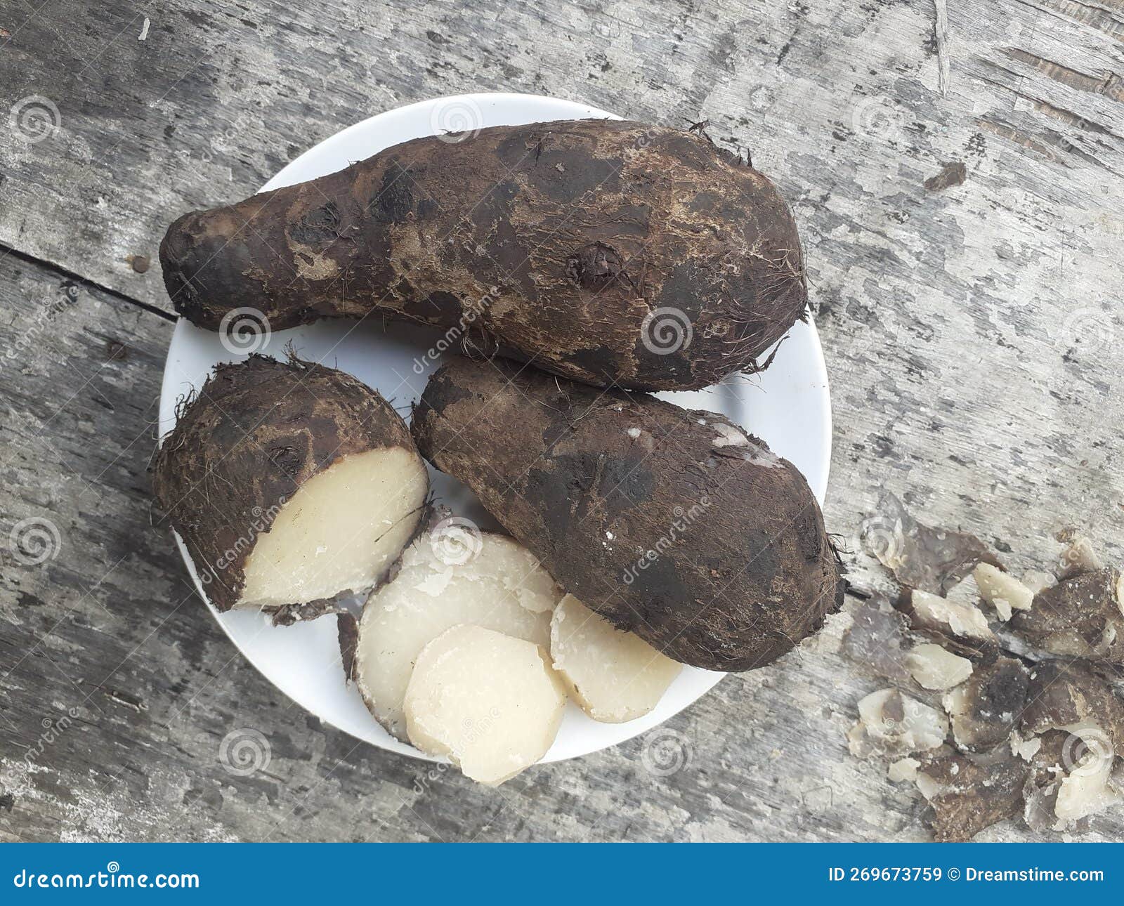kimpul or taro belitung , xanthosoma sagittifolium